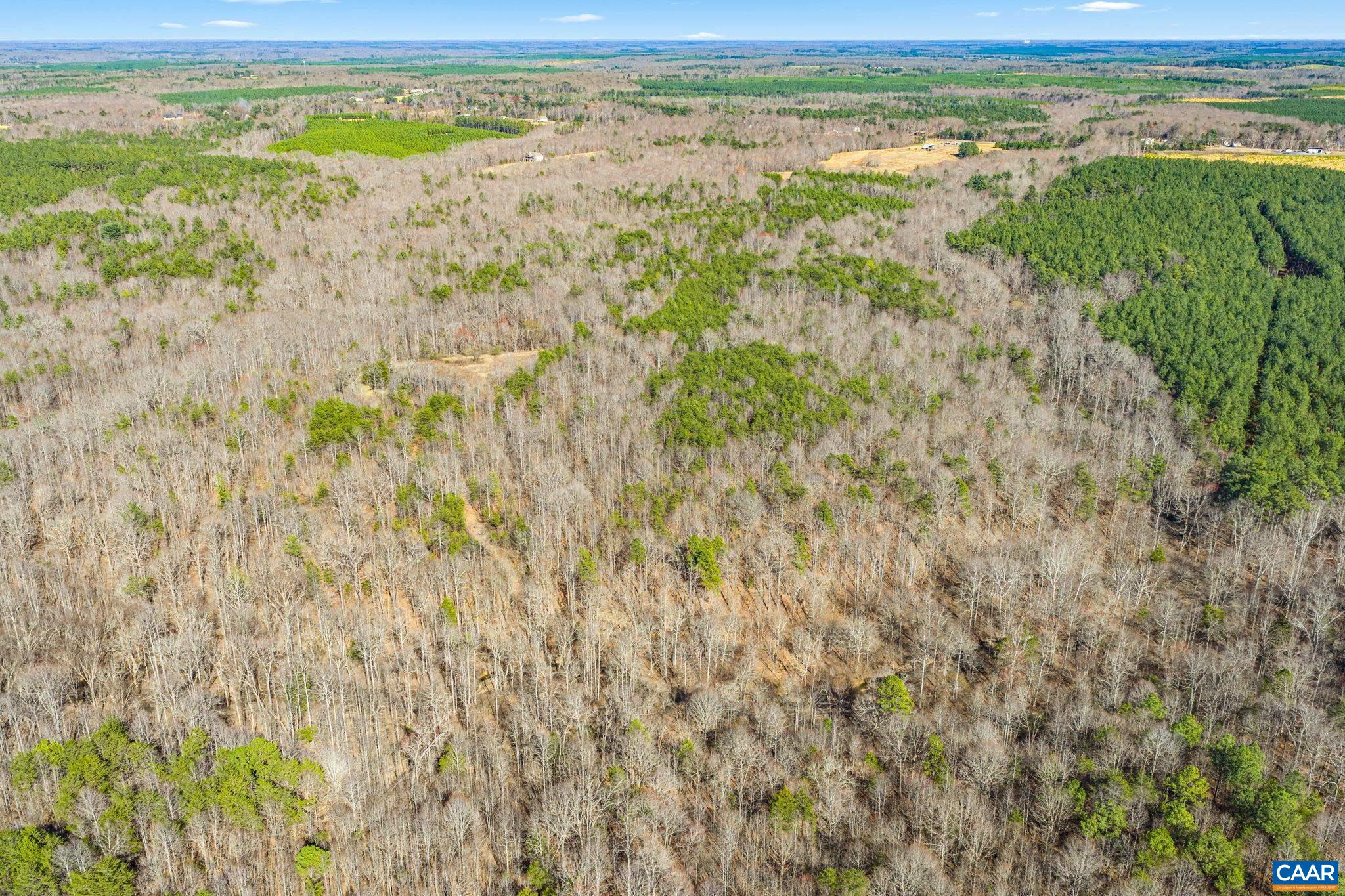 12145 S CONSTITUTION RTE, SCOTTSVILLE, Virginia 24590, ,Farm,14,12145 S CONSTITUTION RTE,674584 MLS # 674584 12145 S CONSTITUTION RTE, SCOTTSVILLE, Virginia 24590, ,Farm,14,12145 S CONSTITUTION RTE,674584 MLS # 674584