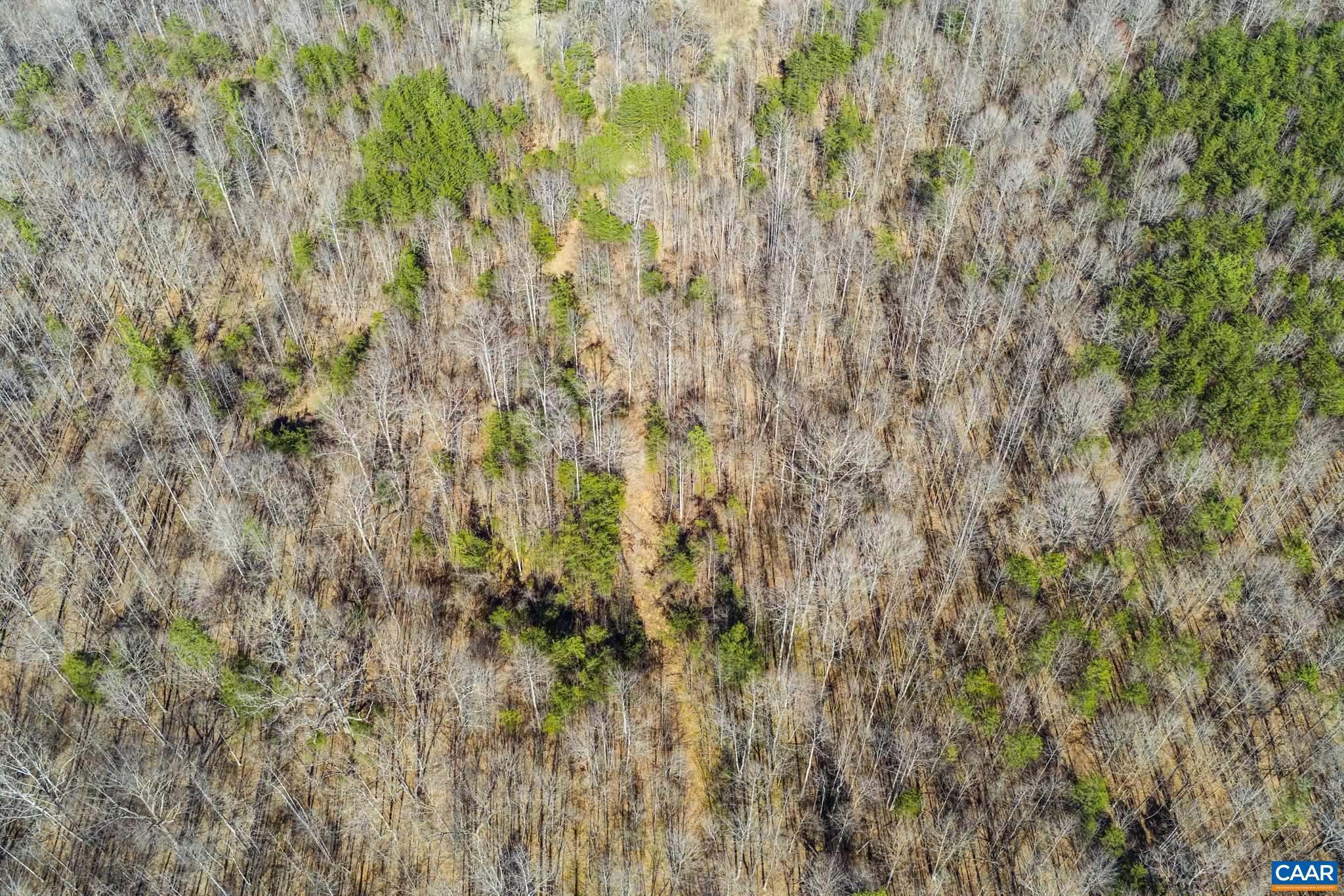 12145 S CONSTITUTION RTE, SCOTTSVILLE, Virginia 24590, ,Farm,14,12145 S CONSTITUTION RTE,674584 MLS # 674584 12145 S CONSTITUTION RTE, SCOTTSVILLE, Virginia 24590, ,Farm,14,12145 S CONSTITUTION RTE,674584 MLS # 674584