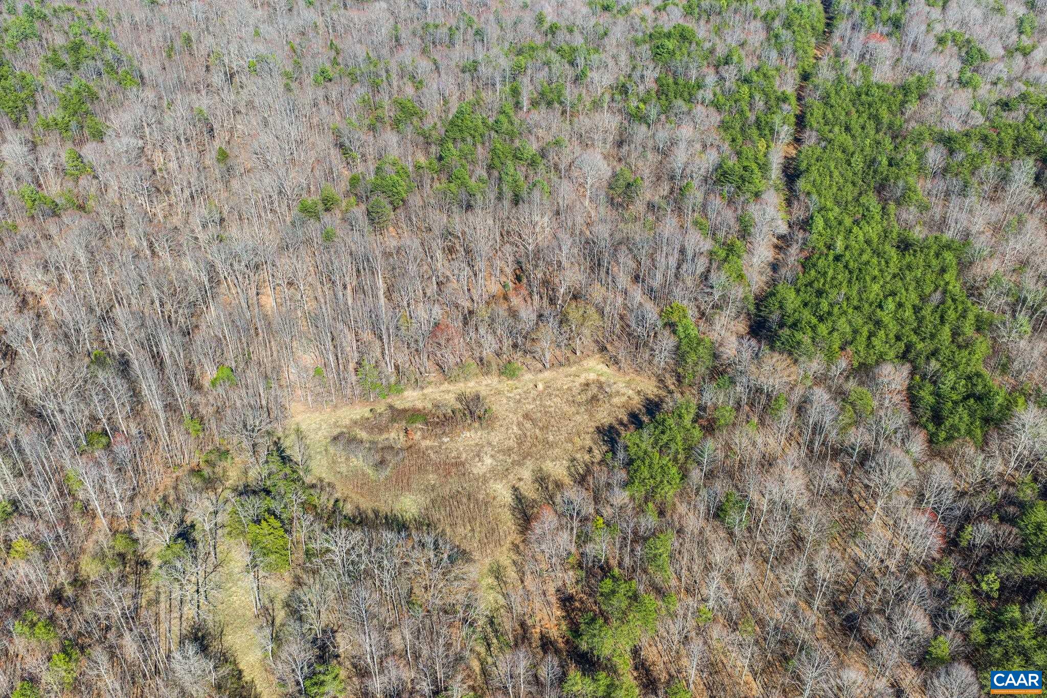 12145 S CONSTITUTION RTE, SCOTTSVILLE, Virginia 24590, ,Farm,14,12145 S CONSTITUTION RTE,674584 MLS # 674584 12145 S CONSTITUTION RTE, SCOTTSVILLE, Virginia 24590, ,Farm,14,12145 S CONSTITUTION RTE,674584 MLS # 674584