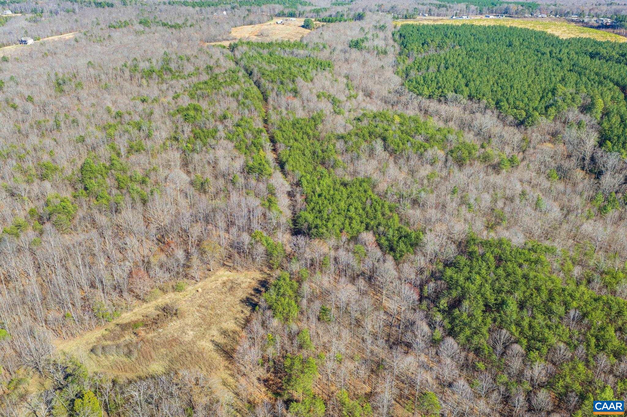 12145 S CONSTITUTION RTE, SCOTTSVILLE, Virginia 24590, ,Farm,14,12145 S CONSTITUTION RTE,674584 MLS # 674584 12145 S CONSTITUTION RTE, SCOTTSVILLE, Virginia 24590, ,Farm,14,12145 S CONSTITUTION RTE,674584 MLS # 674584