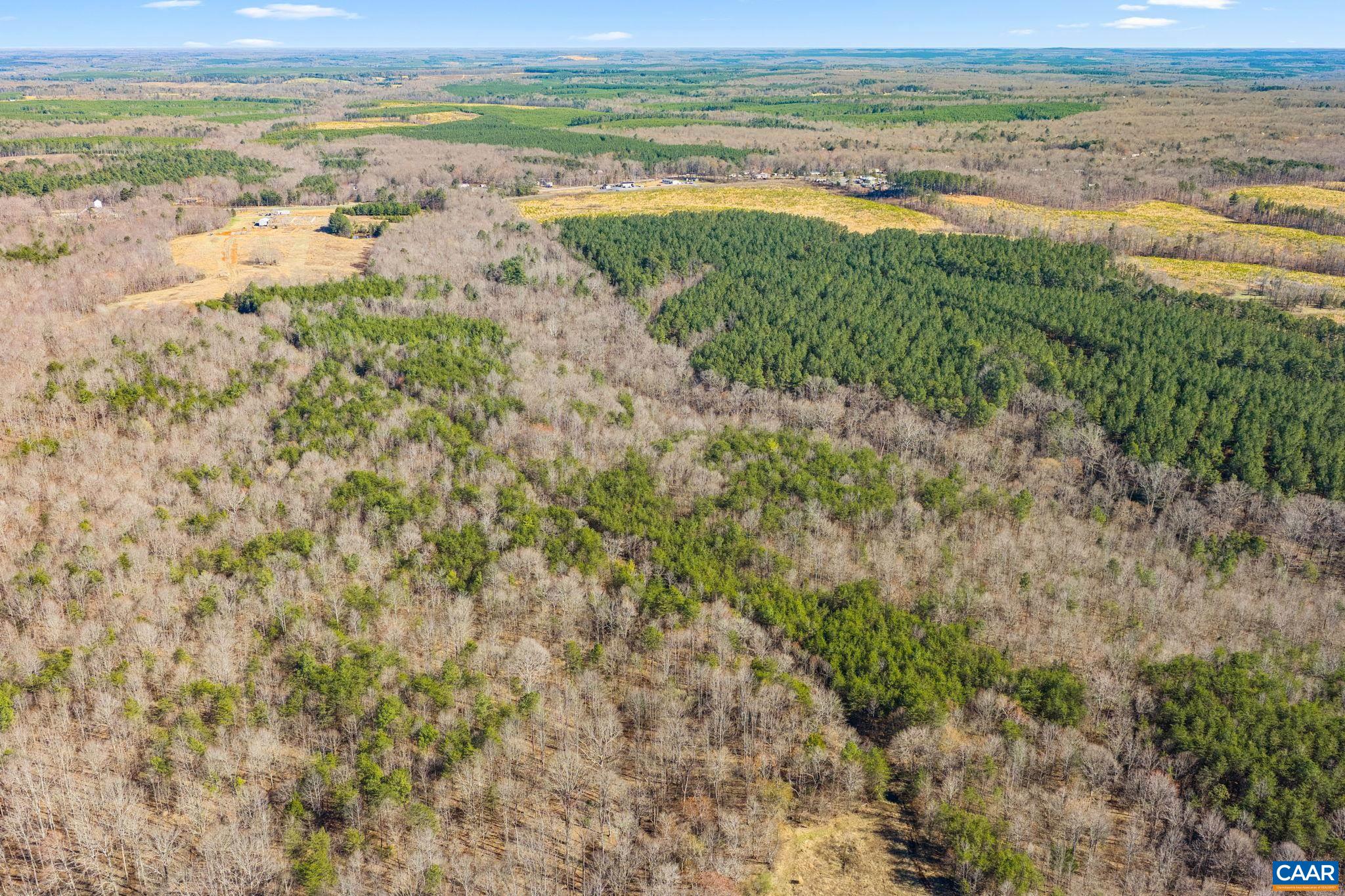 12145 S CONSTITUTION RTE, SCOTTSVILLE, Virginia 24590, ,Farm,14,12145 S CONSTITUTION RTE,674584 MLS # 674584 12145 S CONSTITUTION RTE, SCOTTSVILLE, Virginia 24590, ,Farm,14,12145 S CONSTITUTION RTE,674584 MLS # 674584