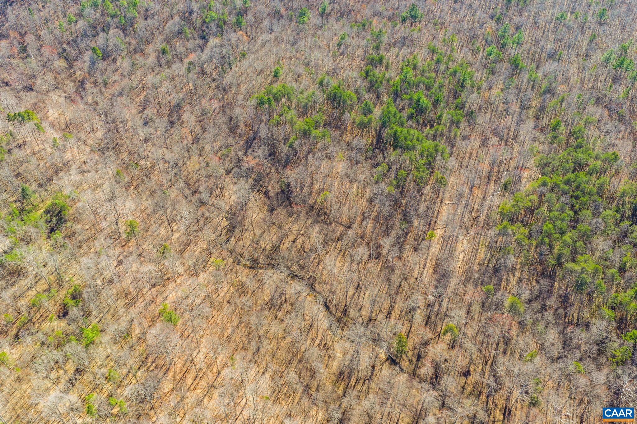 12145 S CONSTITUTION RTE, SCOTTSVILLE, Virginia 24590, ,Farm,14,12145 S CONSTITUTION RTE,674584 MLS # 674584 12145 S CONSTITUTION RTE, SCOTTSVILLE, Virginia 24590, ,Farm,14,12145 S CONSTITUTION RTE,674584 MLS # 674584