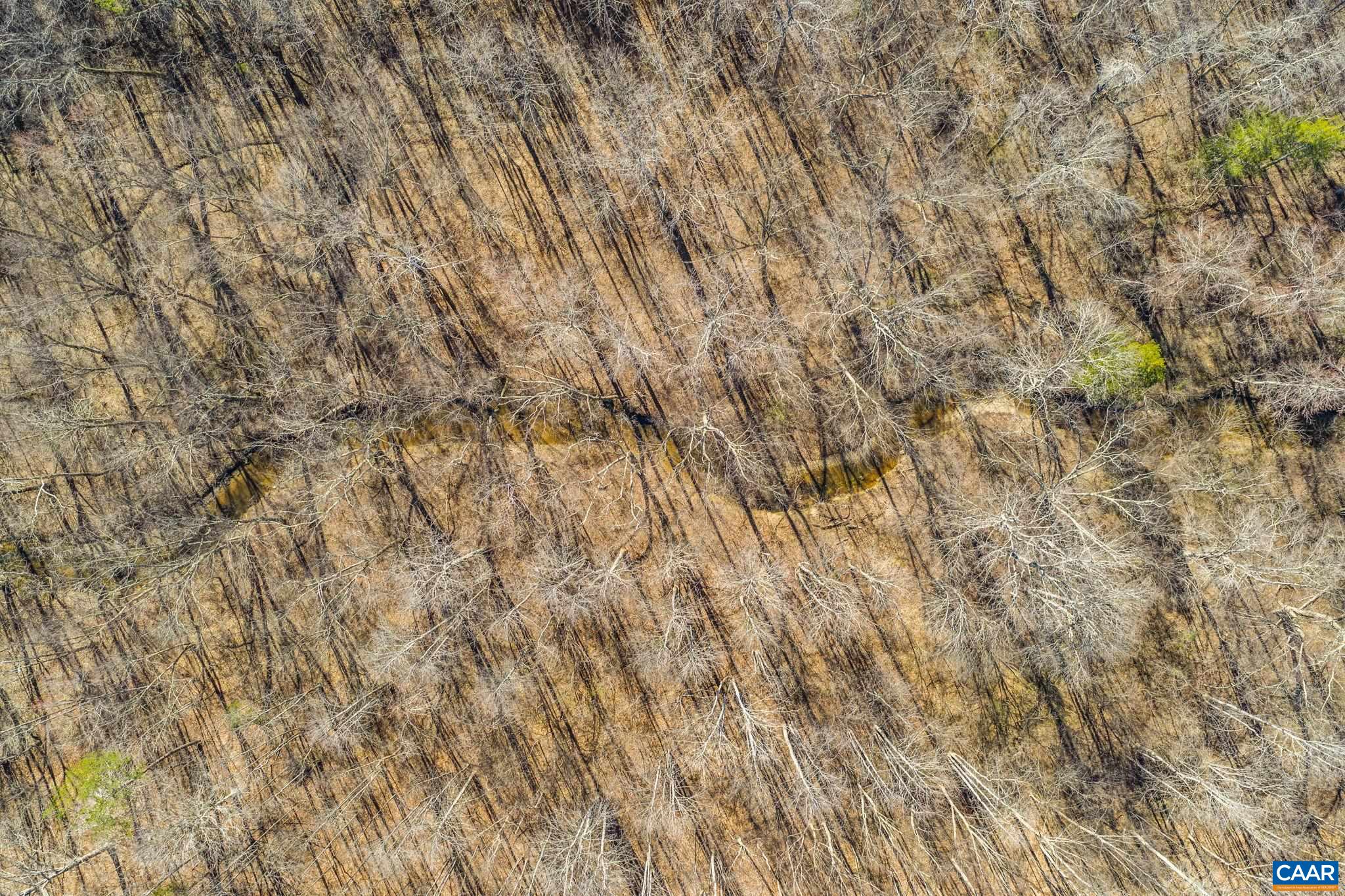 12145 S CONSTITUTION RTE, SCOTTSVILLE, Virginia 24590, ,Farm,14,12145 S CONSTITUTION RTE,674584 MLS # 674584 12145 S CONSTITUTION RTE, SCOTTSVILLE, Virginia 24590, ,Farm,14,12145 S CONSTITUTION RTE,674584 MLS # 674584