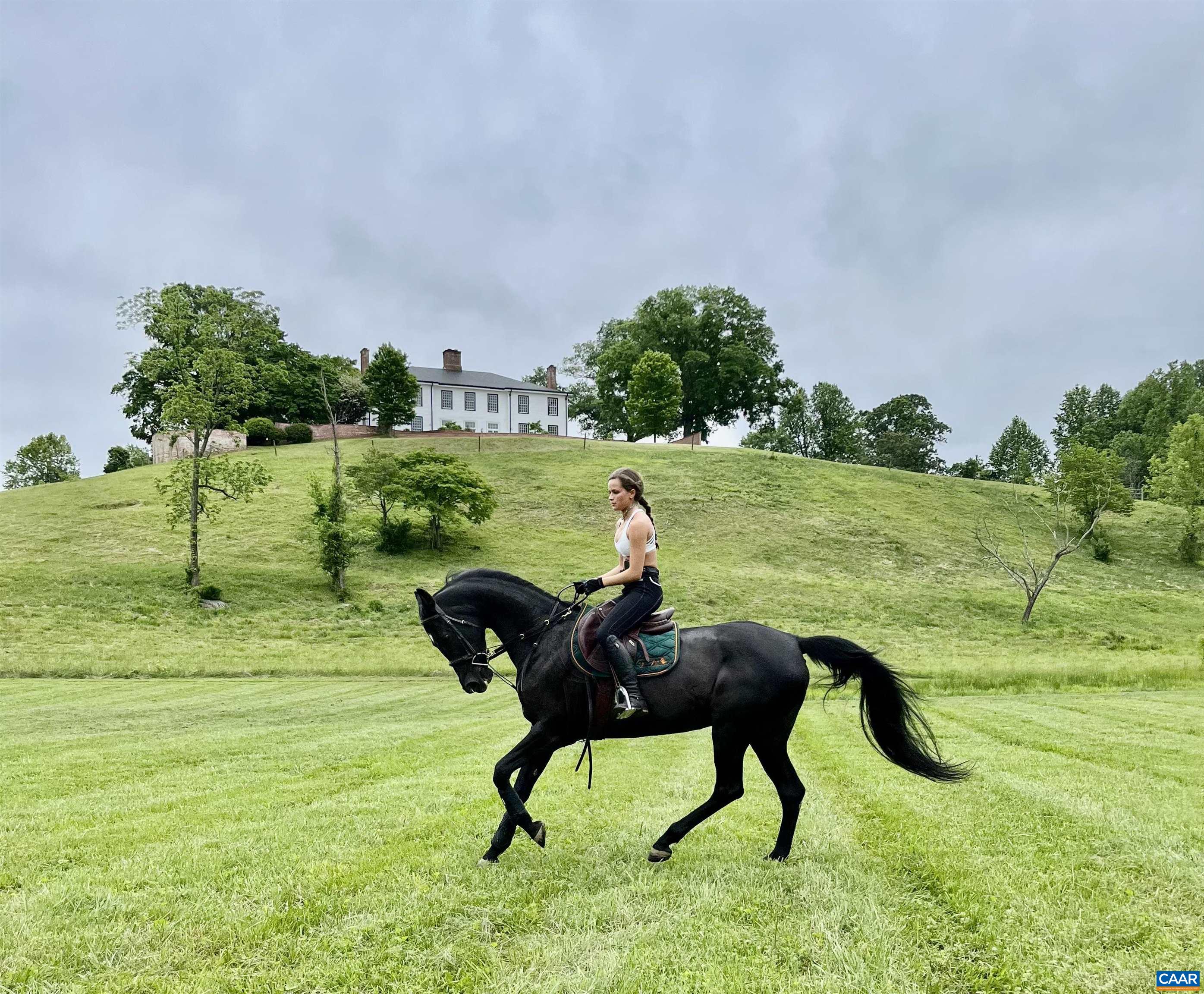1859 RIVANNA FARM, CHARLOTTESVILLE, Virginia 22911, 10 Bedrooms Bedrooms, ,10 BathroomsBathrooms,Residential,14,1859 RIVANNA FARM,674640 MLS # 674640 1859 RIVANNA FARM, CHARLOTTESVILLE, Virginia 22911, 10 Bedrooms Bedrooms, ,10 BathroomsBathrooms,Residential,14,1859 RIVANNA FARM,674640 MLS # 674640