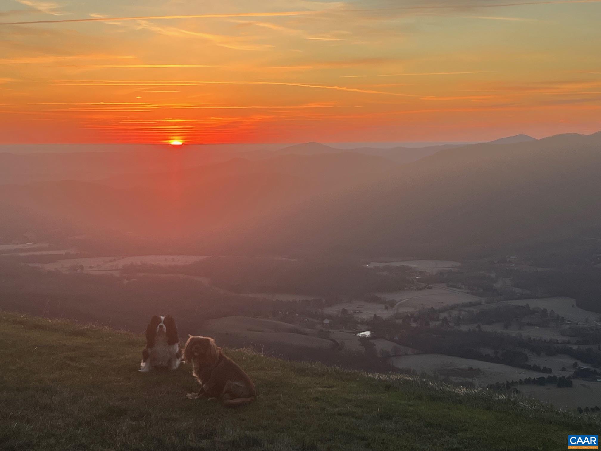 0 BRYANT MOUNTAIN RD, ROSELAND, Virginia 22967, 3 Bedrooms Bedrooms, ,2 BathroomsBathrooms,Residential,14,0 BRYANT MOUNTAIN RD,674507 MLS # 674507 0 BRYANT MOUNTAIN RD, ROSELAND, Virginia 22967, 3 Bedrooms Bedrooms, ,2 BathroomsBathrooms,Residential,14,0 BRYANT MOUNTAIN RD,674507 MLS # 674507