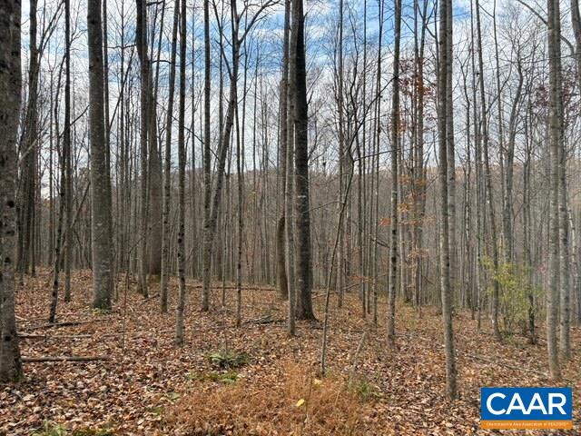 TM 23-5A MITCHELL MOUNTAIN RD, HAYWOOD, Virginia 22722, ,Land,14,TM 23-5A MITCHELL MOUNTAIN RD,669086 MLS # 669086