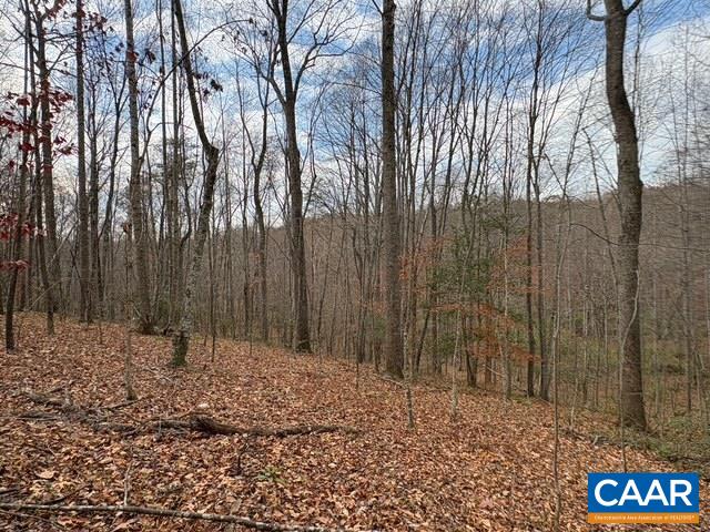 TM 23-5A MITCHELL MOUNTAIN RD, HAYWOOD, Virginia 22722, ,Land,14,TM 23-5A MITCHELL MOUNTAIN RD,669086 MLS # 669086