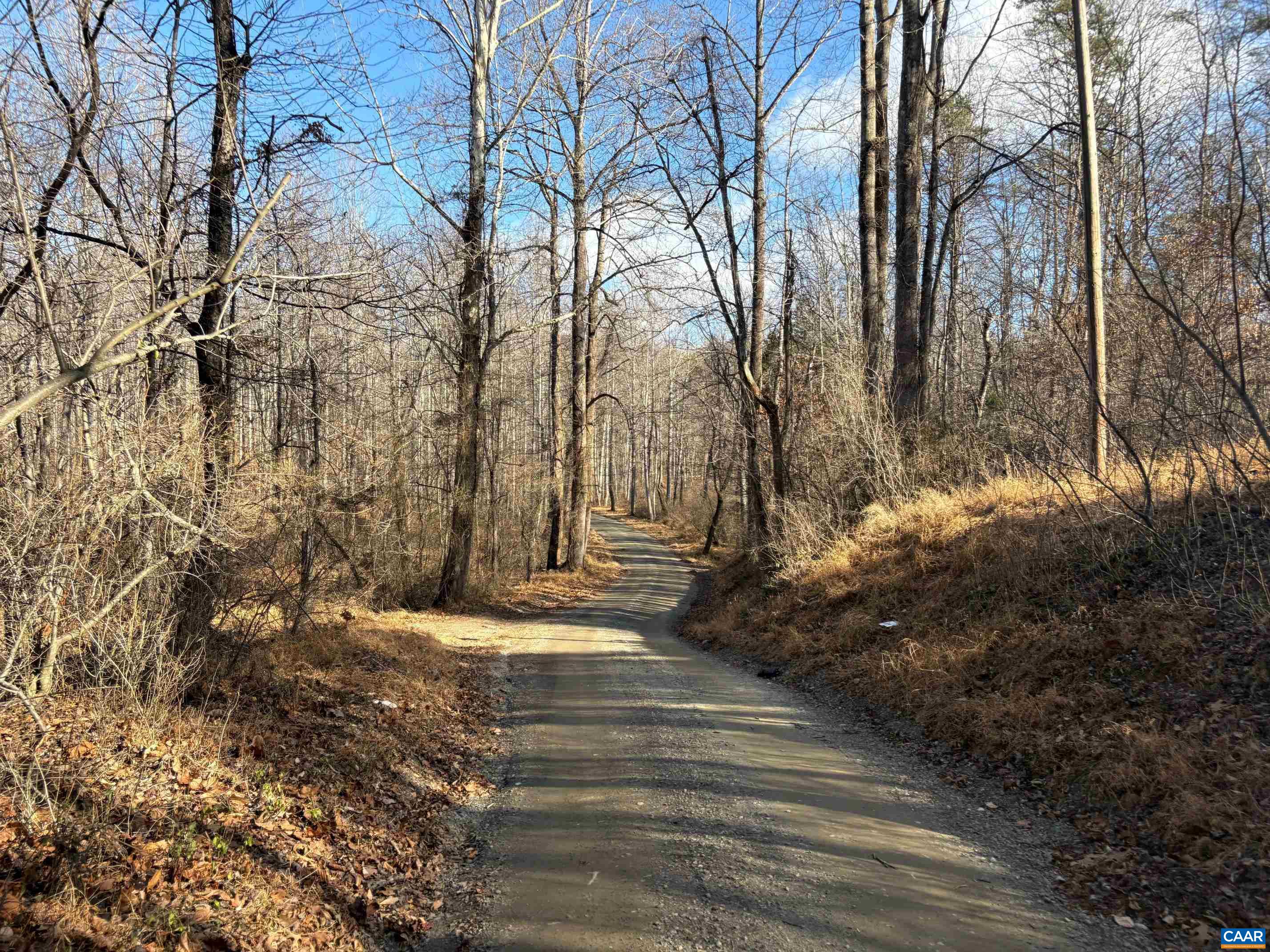 TM 23-5A MITCHELL MOUNTAIN RD, HAYWOOD, Virginia 22722, ,Land,14,TM 23-5A MITCHELL MOUNTAIN RD,669086 MLS # 669086