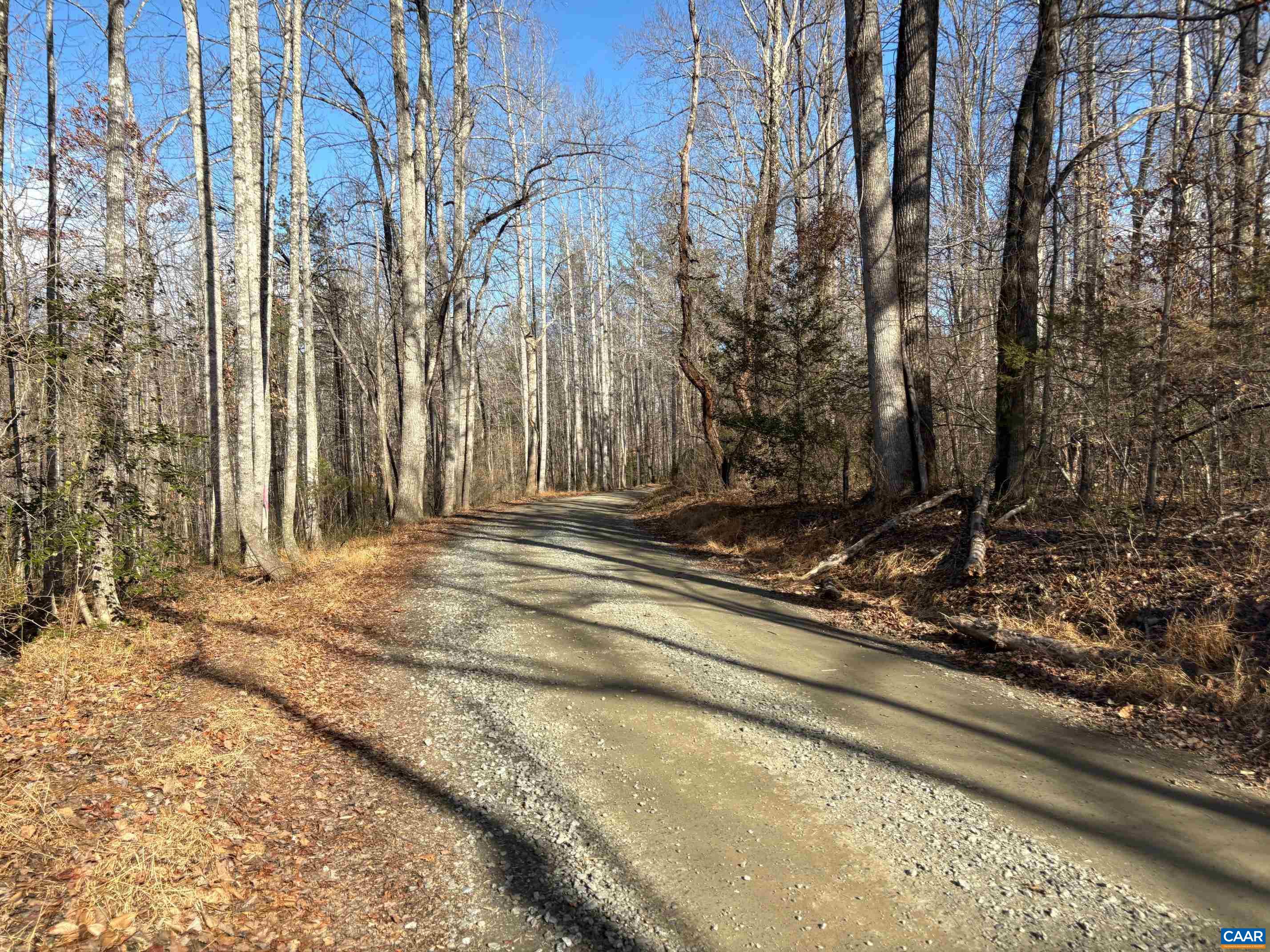 TM 23-5A MITCHELL MOUNTAIN RD, HAYWOOD, Virginia 22722, ,Land,14,TM 23-5A MITCHELL MOUNTAIN RD,669086 MLS # 669086