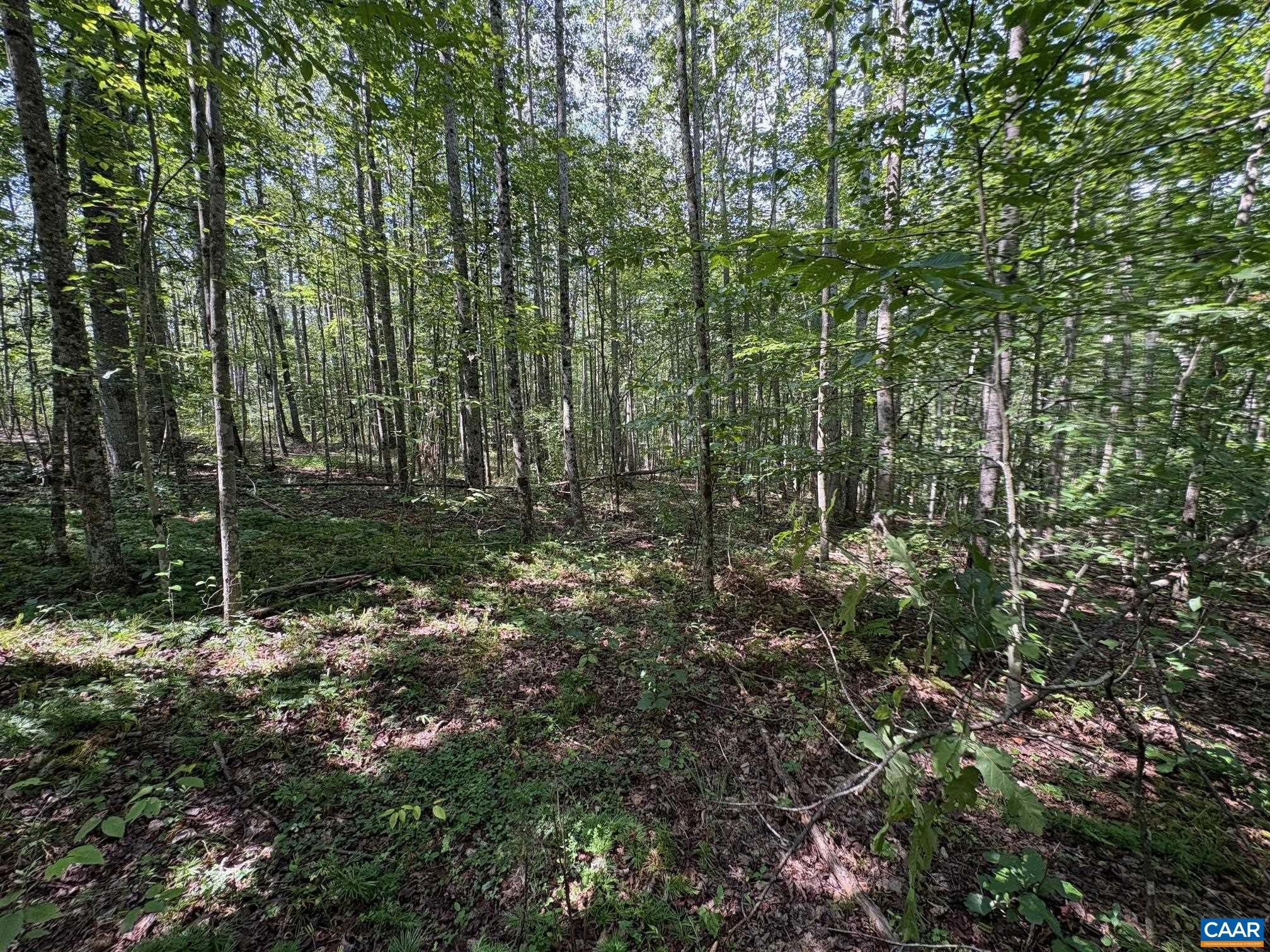 TM 23-5A MITCHELL MOUNTAIN RD, HAYWOOD, Virginia 22722, ,Land,14,TM 23-5A MITCHELL MOUNTAIN RD,669086 MLS # 669086