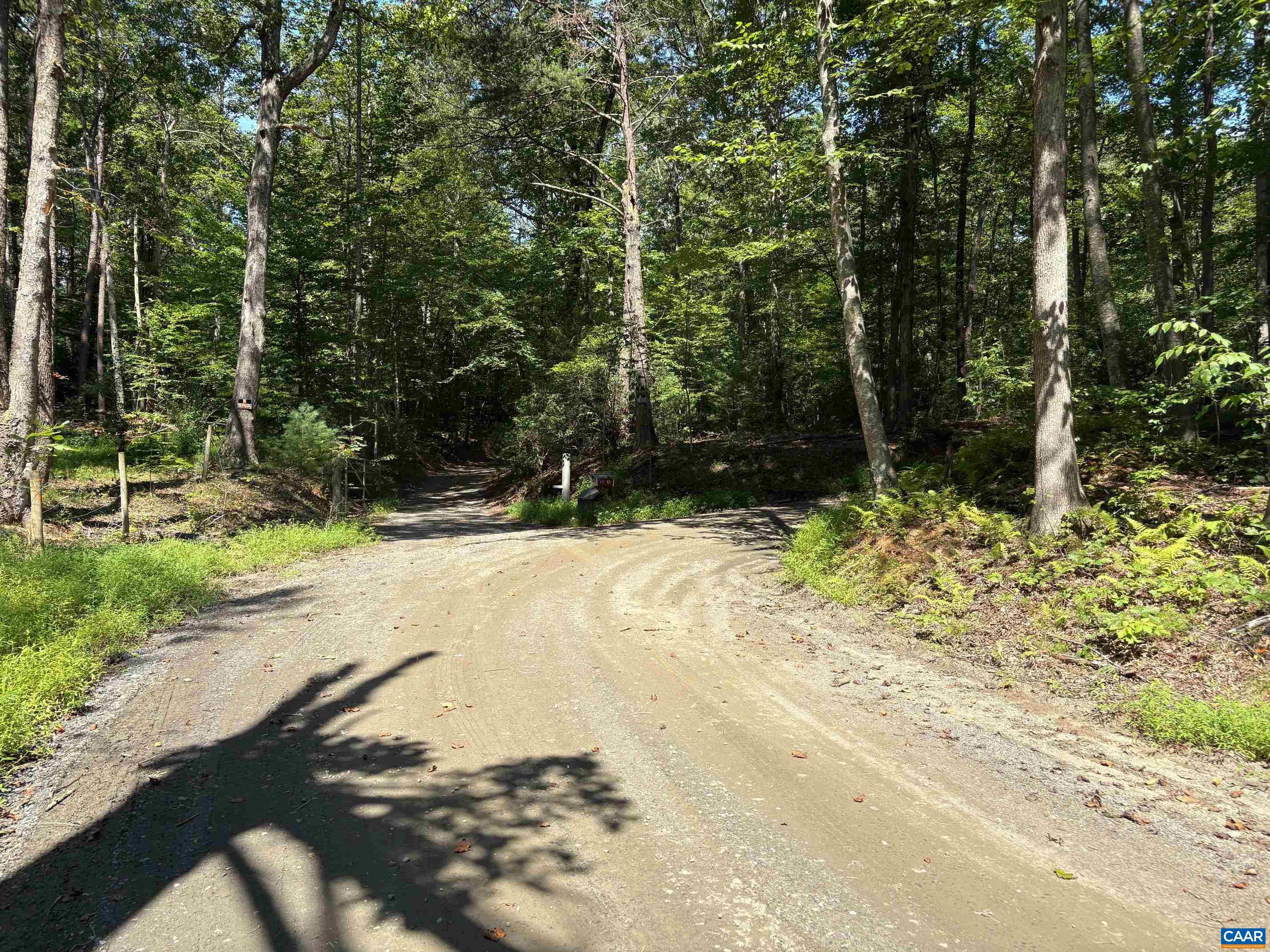 TM 23-5A MITCHELL MOUNTAIN RD, HAYWOOD, Virginia 22722, ,Land,14,TM 23-5A MITCHELL MOUNTAIN RD,669086 MLS # 669086