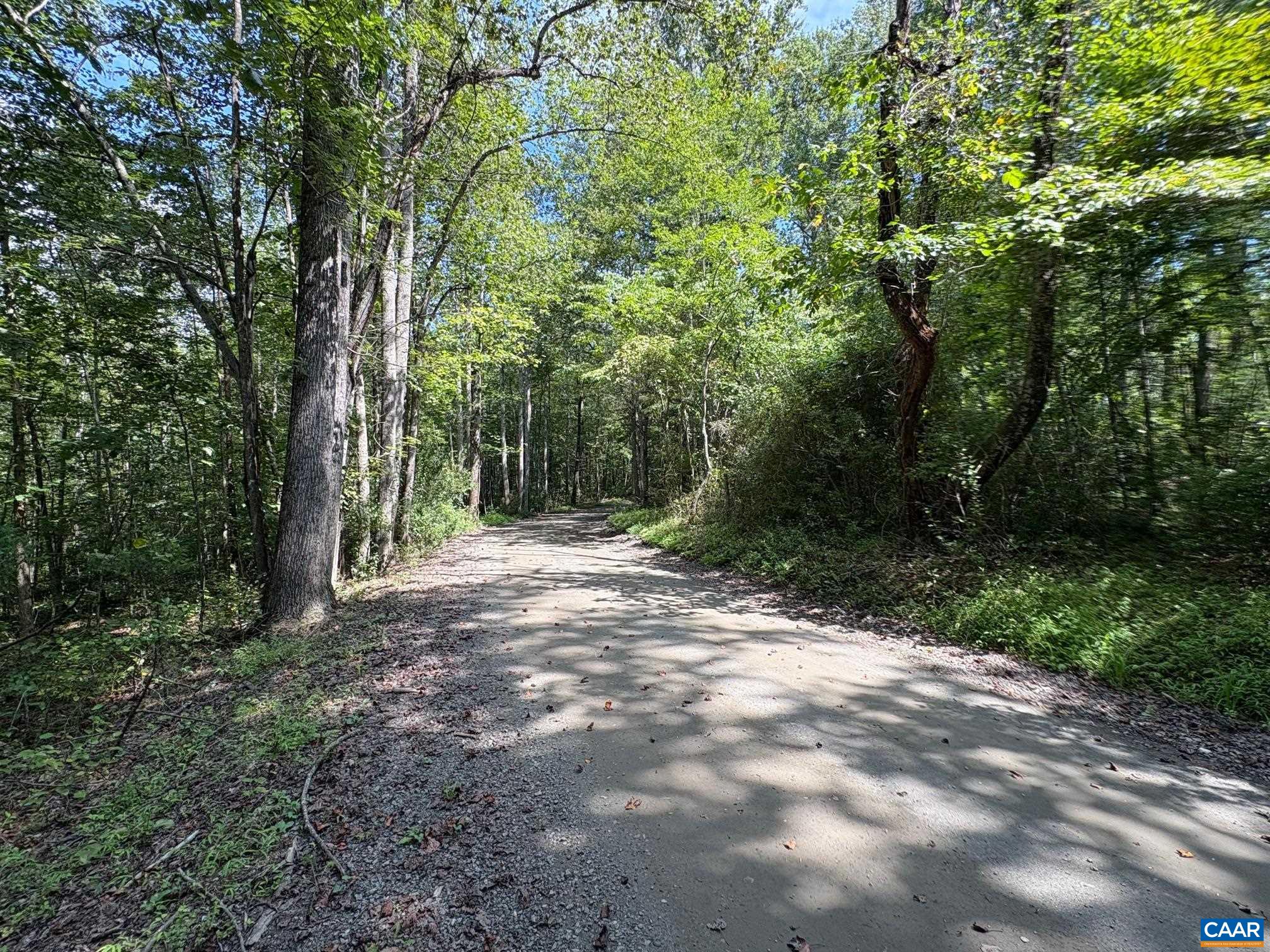 TM 23-5A MITCHELL MOUNTAIN RD, HAYWOOD, Virginia 22722, ,Land,14,TM 23-5A MITCHELL MOUNTAIN RD,669086 MLS # 669086