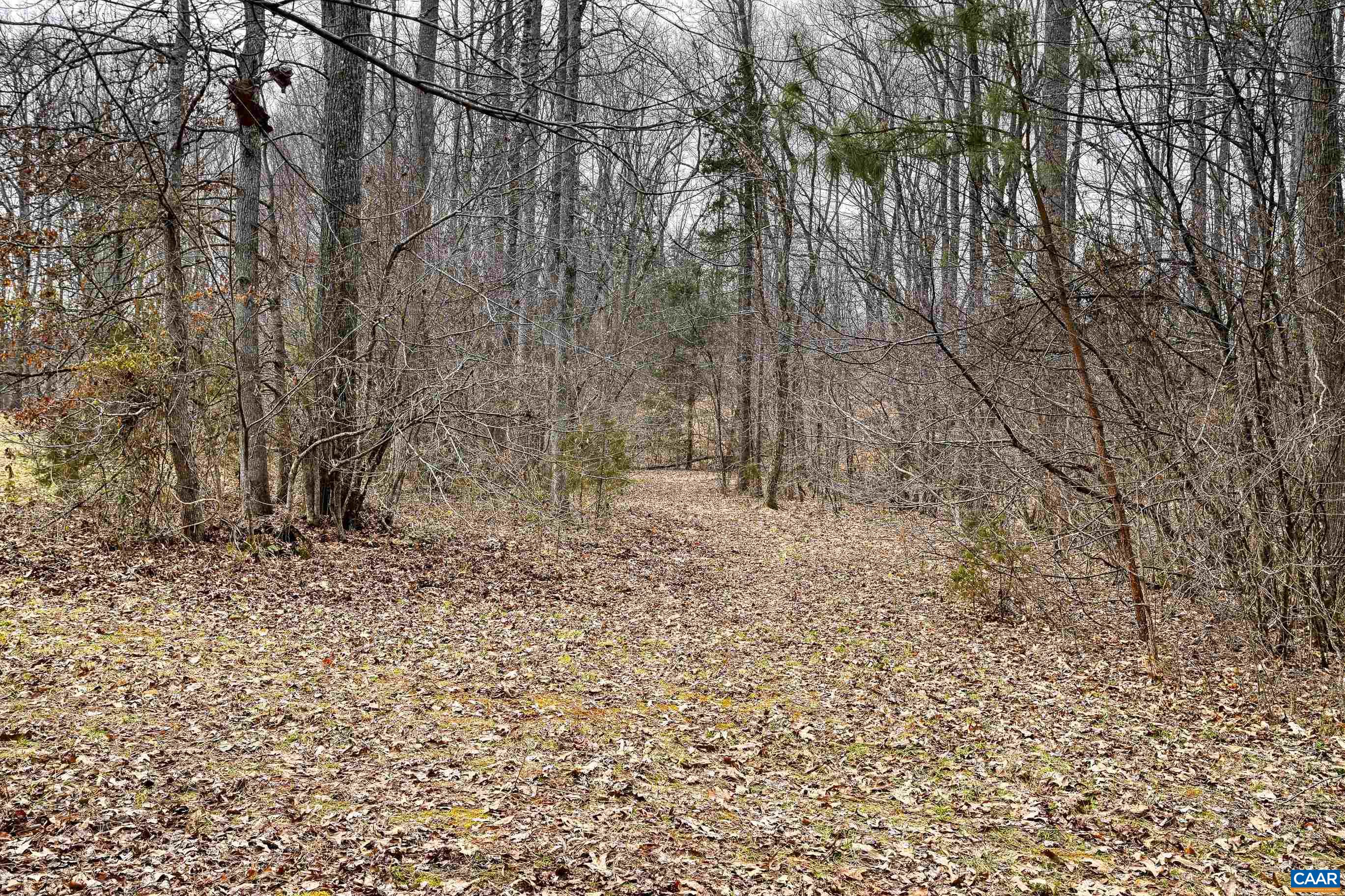 1185 BELLE MEADE RD, BUMPASS, Virginia 23024, 4 Bedrooms Bedrooms, ,3 BathroomsBathrooms,Residential,14,1185 BELLE MEADE RD,674750 MLS # 674750 1185 BELLE MEADE RD, BUMPASS, Virginia 23024, 4 Bedrooms Bedrooms, ,3 BathroomsBathrooms,Residential,14,1185 BELLE MEADE RD,674750 MLS # 674750