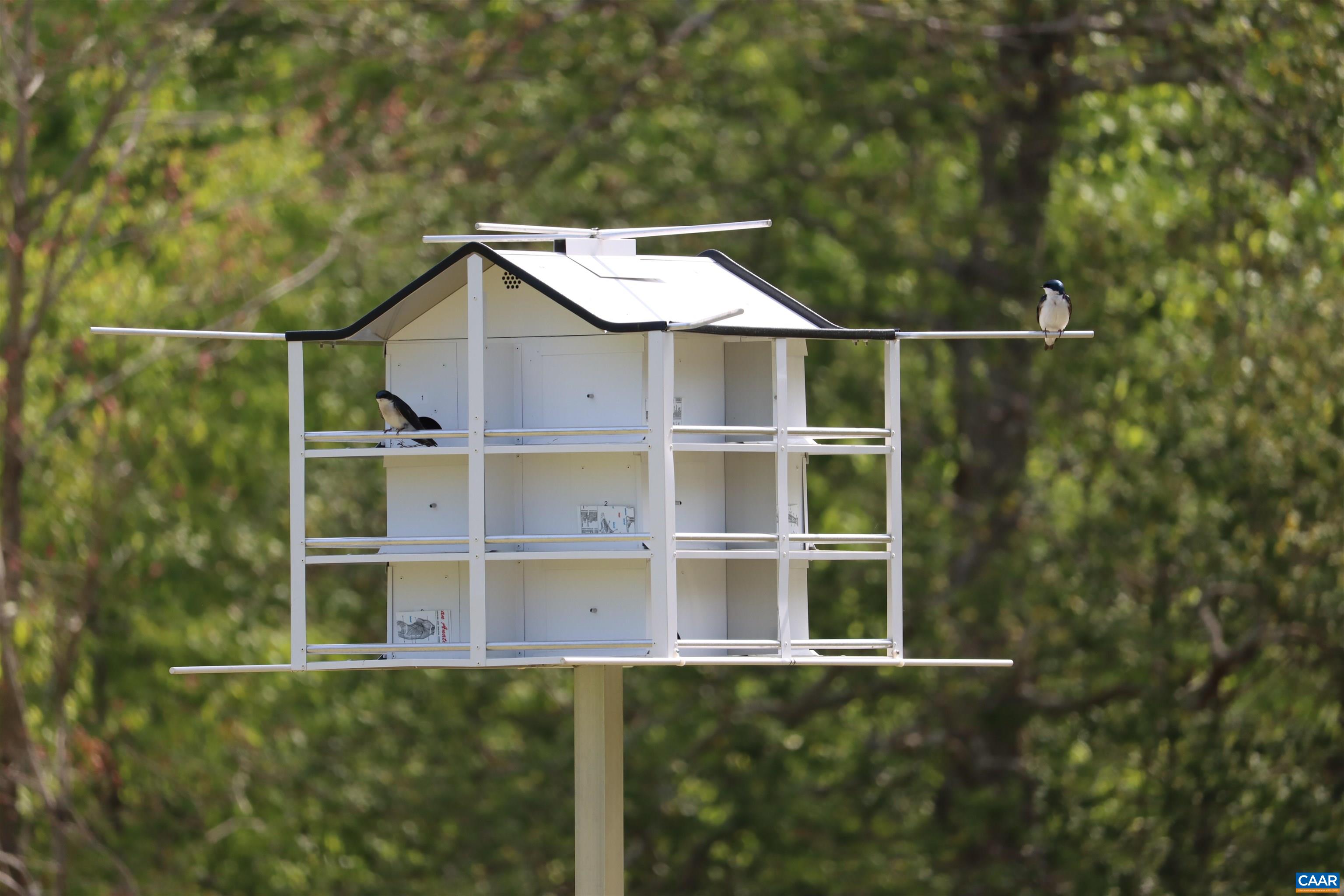 1185 BELLE MEADE RD, BUMPASS, Virginia 23024, 4 Bedrooms Bedrooms, ,3 BathroomsBathrooms,Residential,14,1185 BELLE MEADE RD,674750 MLS # 674750 1185 BELLE MEADE RD, BUMPASS, Virginia 23024, 4 Bedrooms Bedrooms, ,3 BathroomsBathrooms,Residential,14,1185 BELLE MEADE RD,674750 MLS # 674750