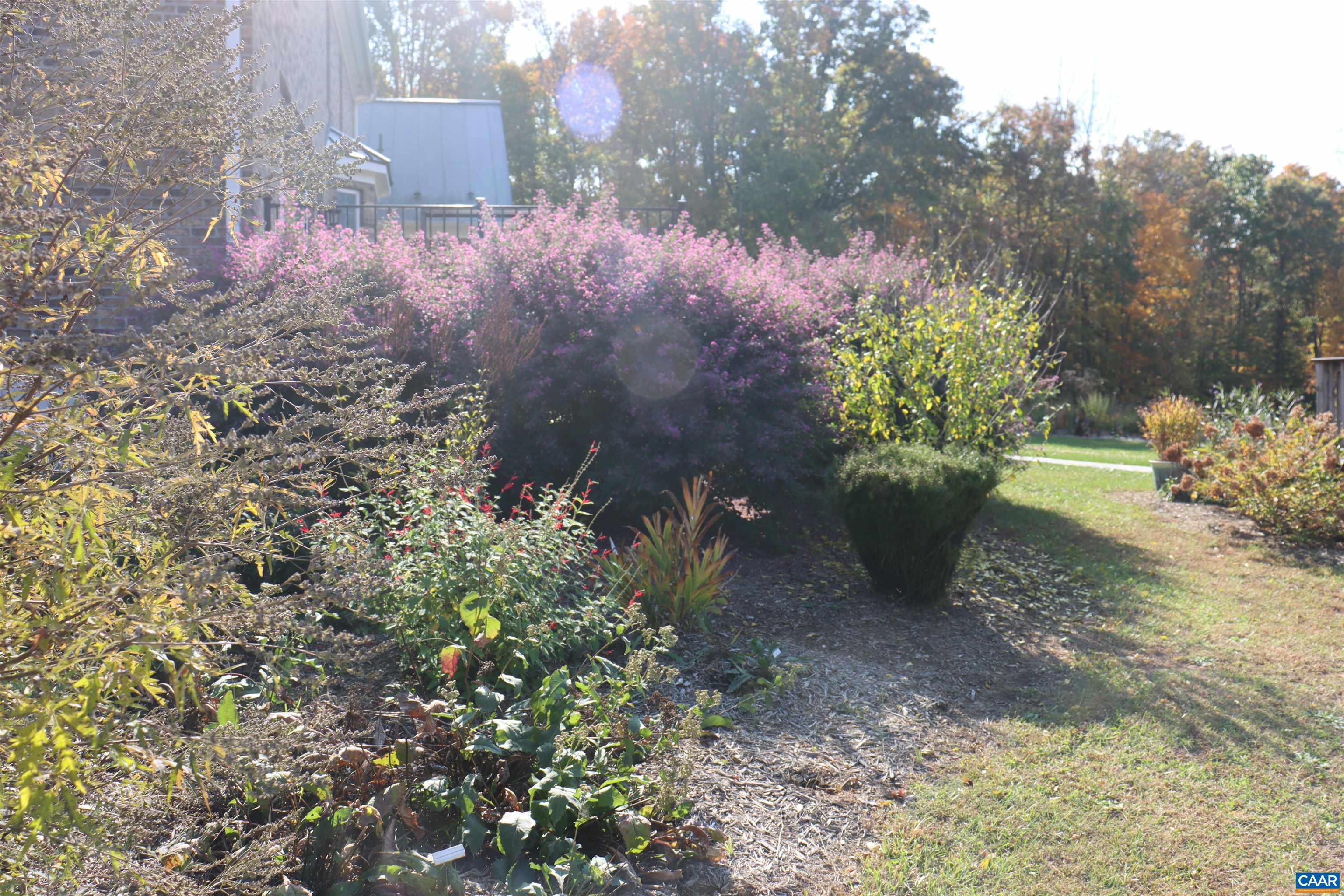 1185 BELLE MEADE RD, BUMPASS, Virginia 23024, 4 Bedrooms Bedrooms, ,3 BathroomsBathrooms,Residential,14,1185 BELLE MEADE RD,674750 MLS # 674750 1185 BELLE MEADE RD, BUMPASS, Virginia 23024, 4 Bedrooms Bedrooms, ,3 BathroomsBathrooms,Residential,14,1185 BELLE MEADE RD,674750 MLS # 674750