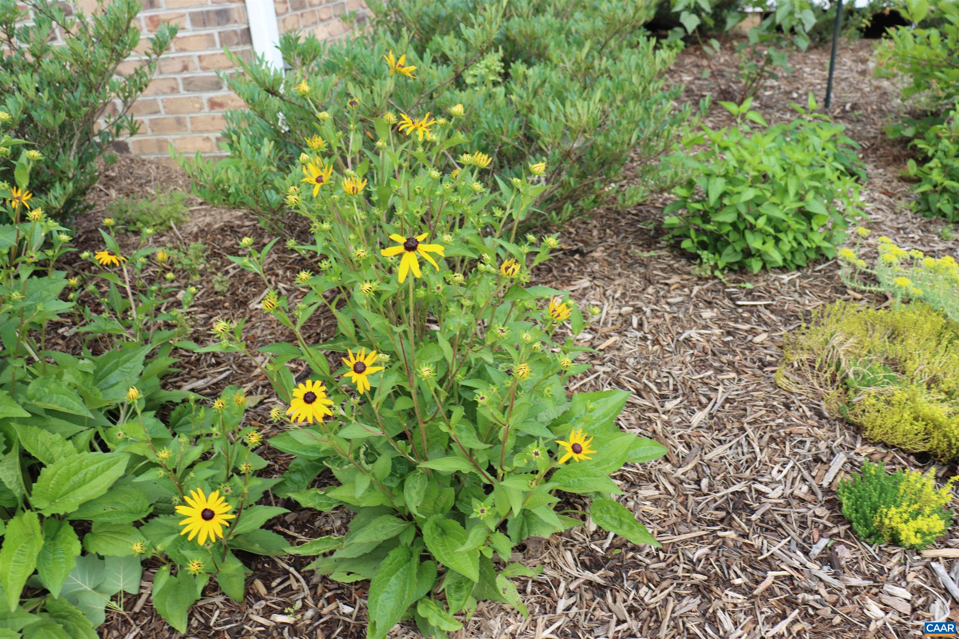 1185 BELLE MEADE RD, BUMPASS, Virginia 23024, 4 Bedrooms Bedrooms, ,3 BathroomsBathrooms,Residential,14,1185 BELLE MEADE RD,674750 MLS # 674750 1185 BELLE MEADE RD, BUMPASS, Virginia 23024, 4 Bedrooms Bedrooms, ,3 BathroomsBathrooms,Residential,14,1185 BELLE MEADE RD,674750 MLS # 674750