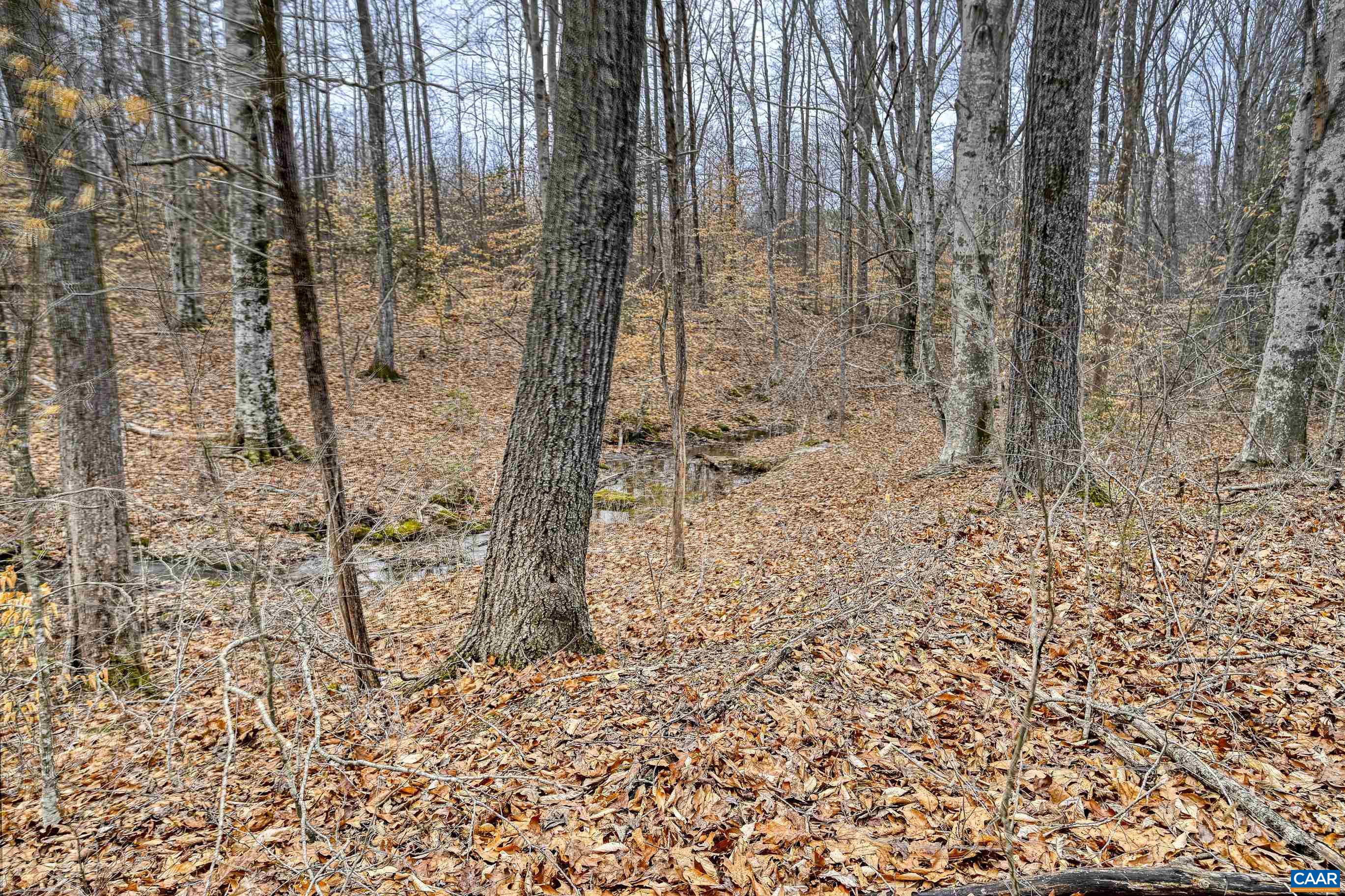 1185 BELLE MEADE RD, BUMPASS, Virginia 23024, 4 Bedrooms Bedrooms, ,3 BathroomsBathrooms,Residential,14,1185 BELLE MEADE RD,674750 MLS # 674750 1185 BELLE MEADE RD, BUMPASS, Virginia 23024, 4 Bedrooms Bedrooms, ,3 BathroomsBathrooms,Residential,14,1185 BELLE MEADE RD,674750 MLS # 674750