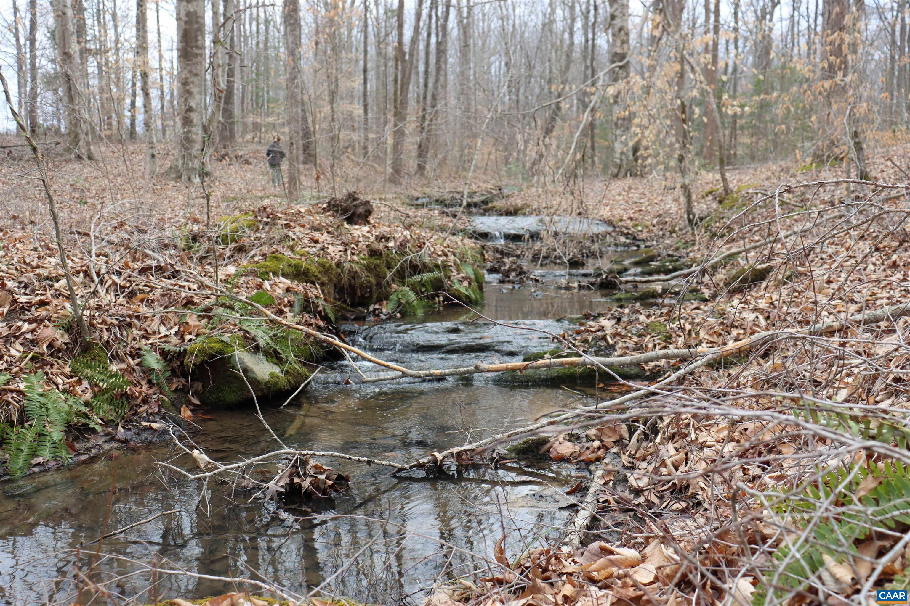 1185 BELLE MEADE RD, BUMPASS, Virginia 23024, 4 Bedrooms Bedrooms, ,3 BathroomsBathrooms,Residential,14,1185 BELLE MEADE RD,674750 MLS # 674750 1185 BELLE MEADE RD, BUMPASS, Virginia 23024, 4 Bedrooms Bedrooms, ,3 BathroomsBathrooms,Residential,14,1185 BELLE MEADE RD,674750 MLS # 674750