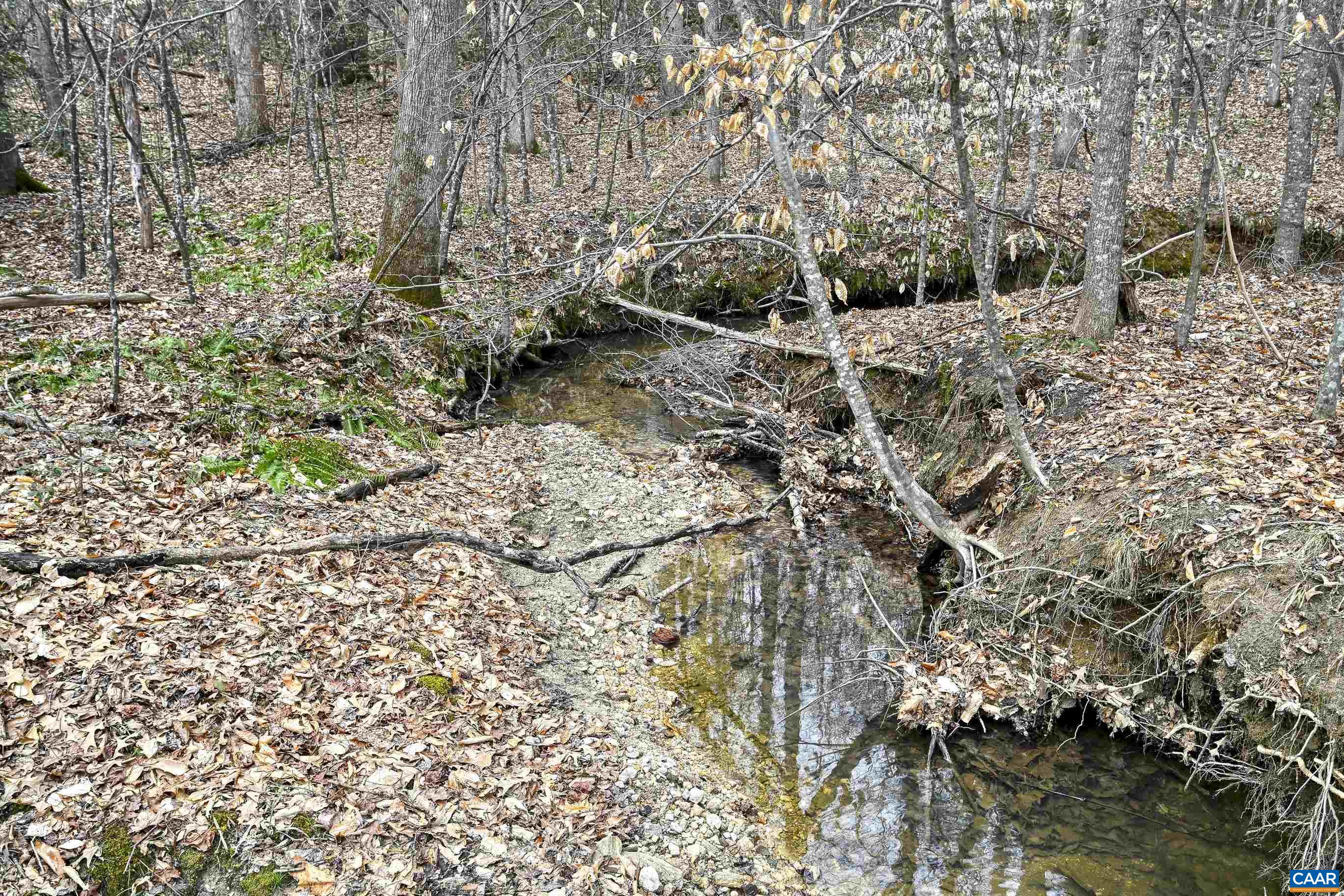 1185 BELLE MEADE RD, BUMPASS, Virginia 23024, 4 Bedrooms Bedrooms, ,3 BathroomsBathrooms,Residential,14,1185 BELLE MEADE RD,674750 MLS # 674750 1185 BELLE MEADE RD, BUMPASS, Virginia 23024, 4 Bedrooms Bedrooms, ,3 BathroomsBathrooms,Residential,14,1185 BELLE MEADE RD,674750 MLS # 674750