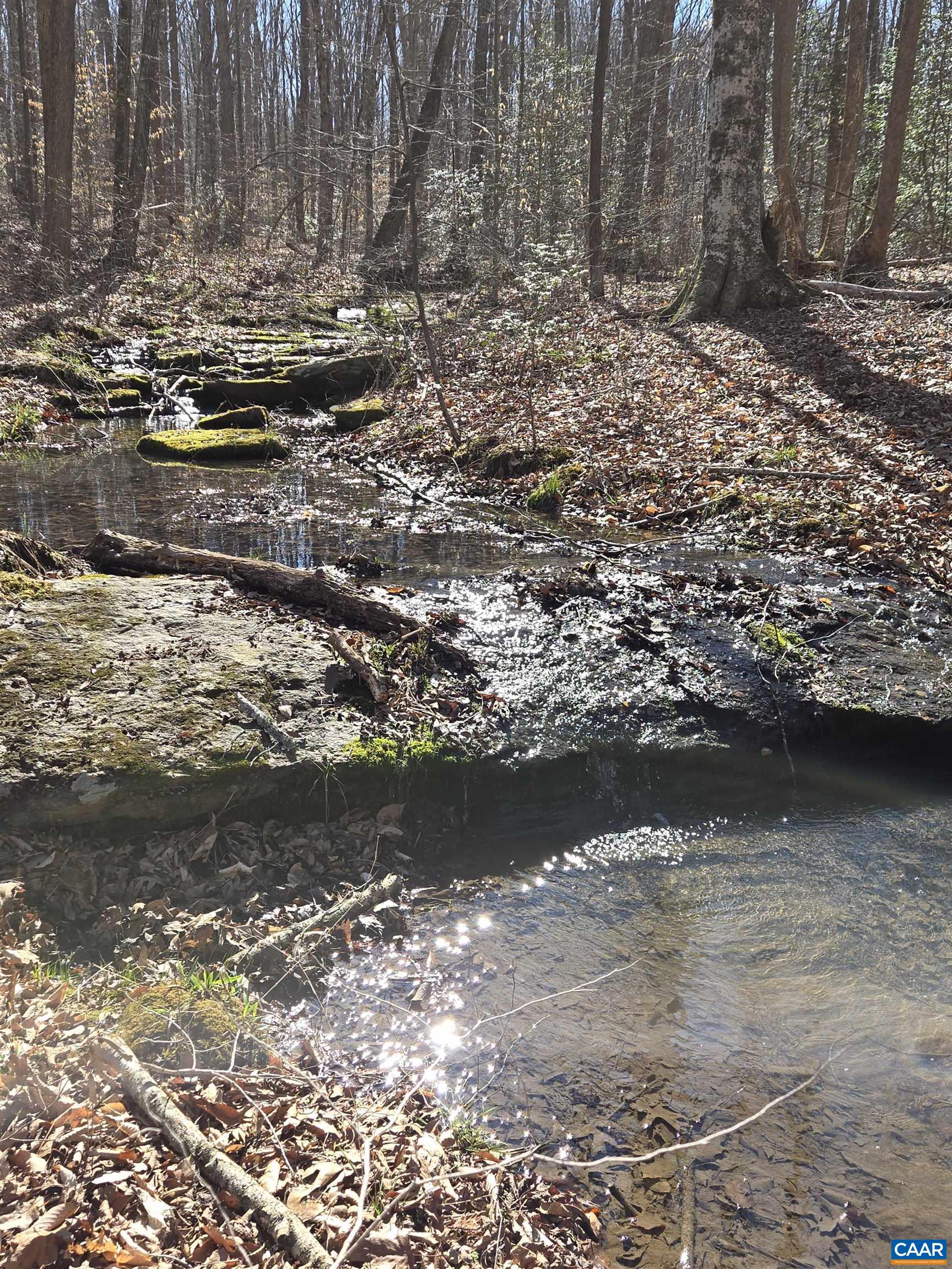 1185 BELLE MEADE RD, BUMPASS, Virginia 23024, 4 Bedrooms Bedrooms, ,3 BathroomsBathrooms,Residential,14,1185 BELLE MEADE RD,674750 MLS # 674750 1185 BELLE MEADE RD, BUMPASS, Virginia 23024, 4 Bedrooms Bedrooms, ,3 BathroomsBathrooms,Residential,14,1185 BELLE MEADE RD,674750 MLS # 674750