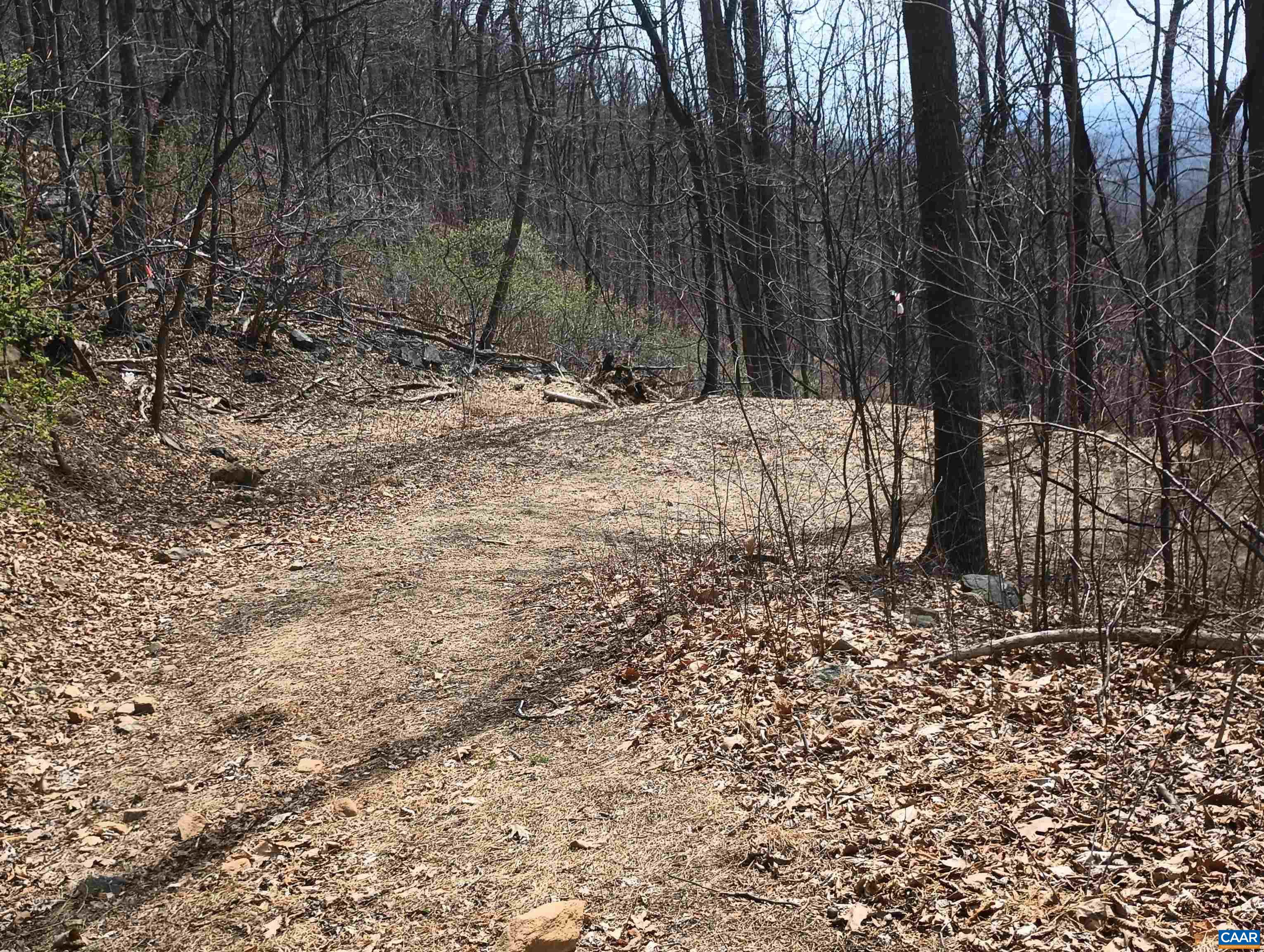 1215 BATTERY HILL LN, TYRO, Virginia 22976, ,Land,14,1215 BATTERY HILL LN,674797 MLS # 674797