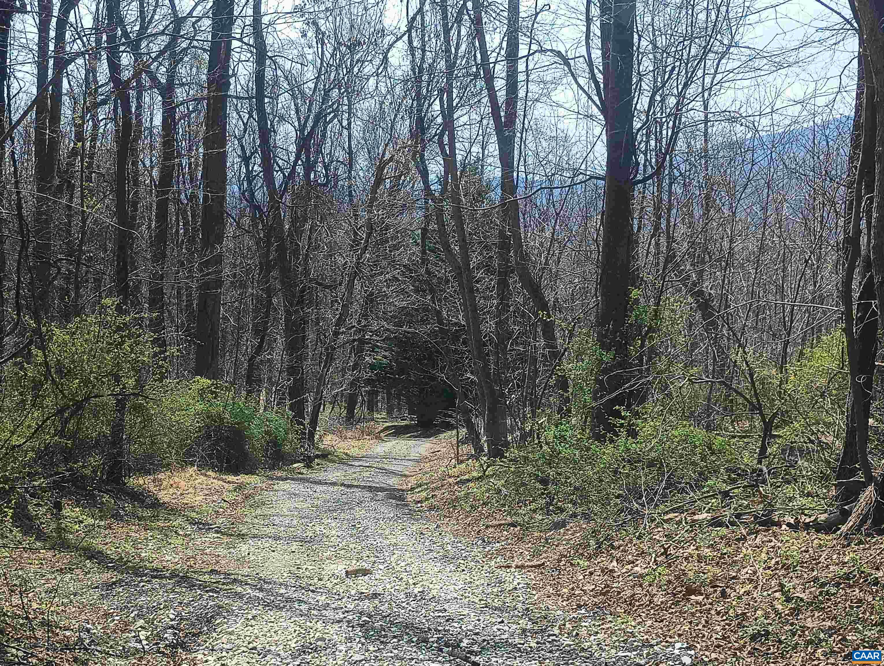 1215 BATTERY HILL LN, TYRO, Virginia 22976, ,Land,14,1215 BATTERY HILL LN,674797 MLS # 674797