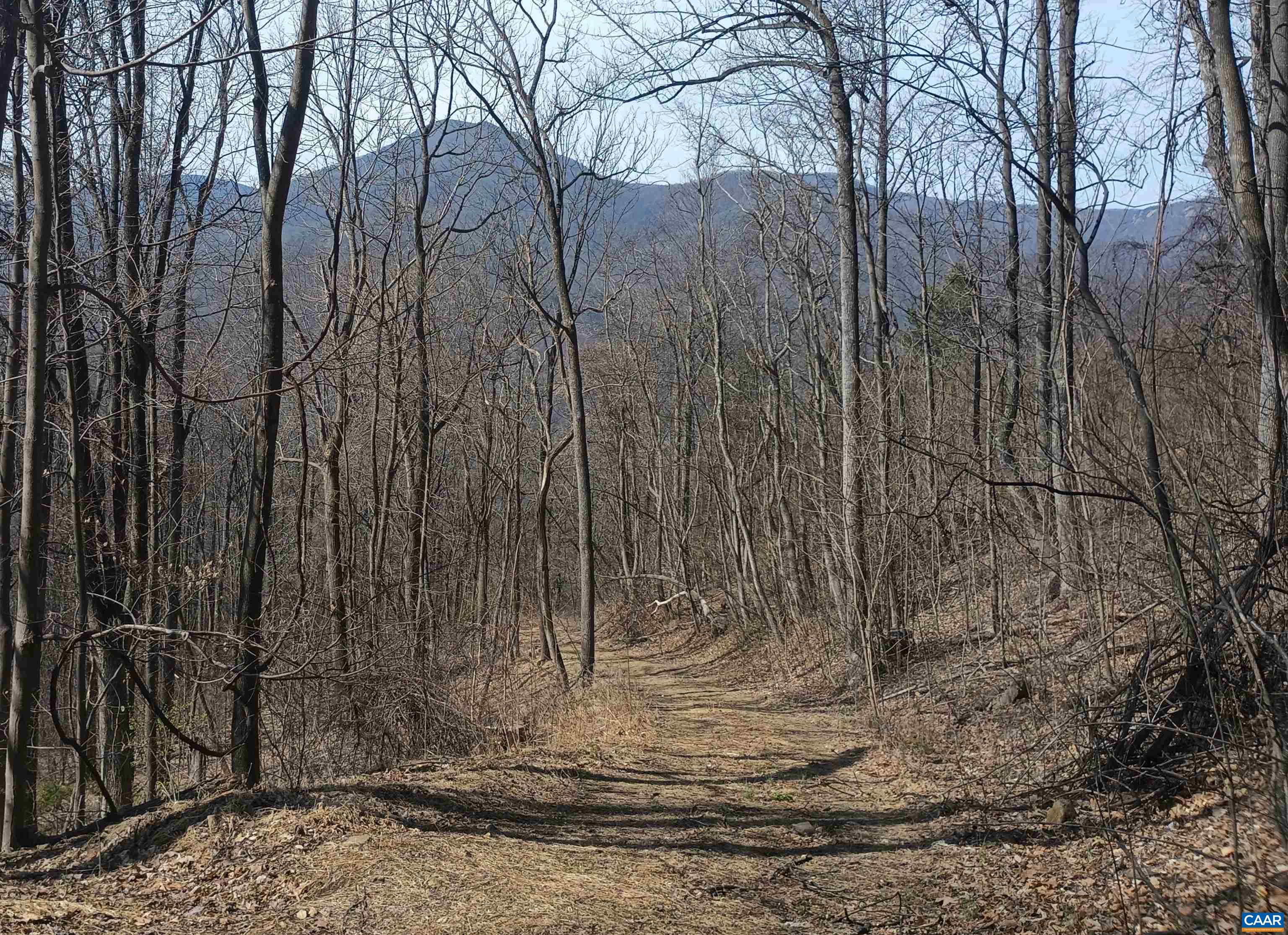 1215 BATTERY HILL LN, TYRO, Virginia 22976, ,Land,14,1215 BATTERY HILL LN,674797 MLS # 674797