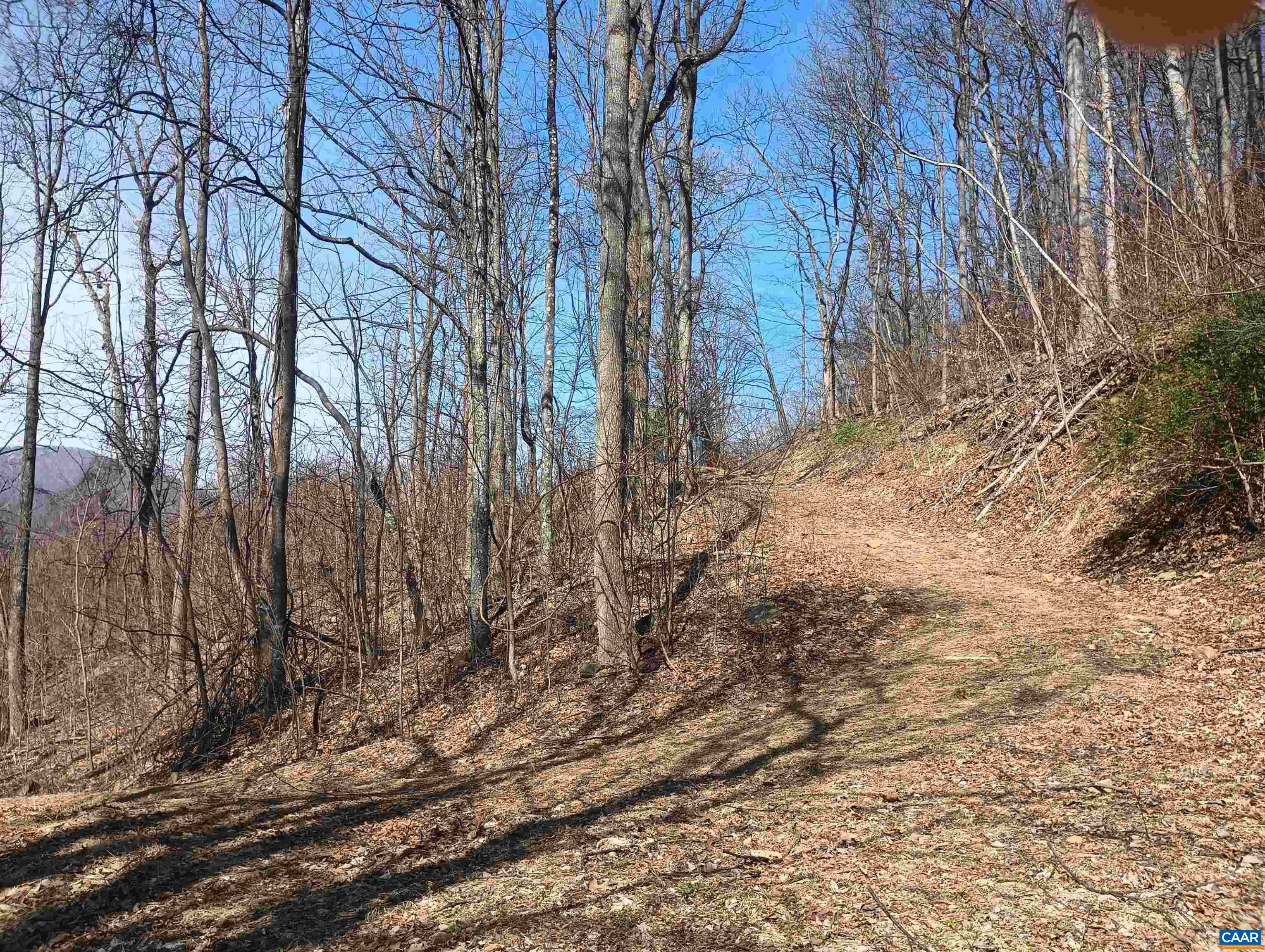 1215 BATTERY HILL LN, TYRO, Virginia 22976, ,Land,14,1215 BATTERY HILL LN,674797 MLS # 674797