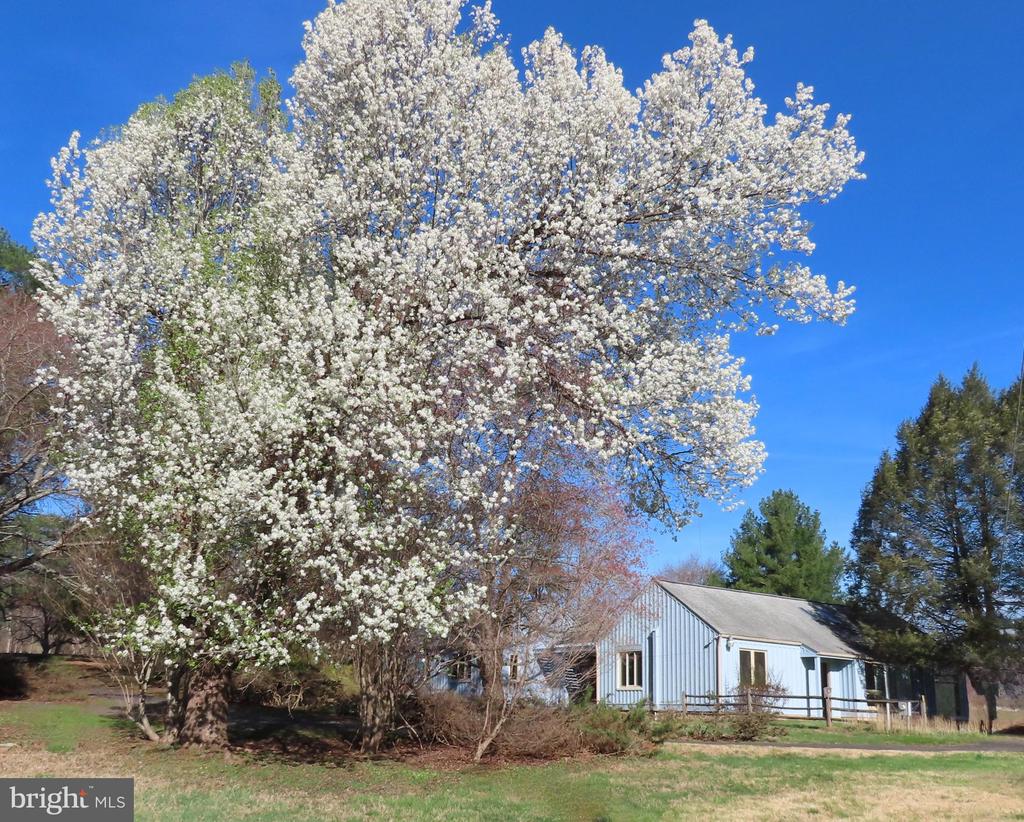 419 RUDASILL MILL RD, WOODVILLE, Virginia, 2 Bedrooms Bedrooms, ,3 BathroomsBathrooms,Residential,14,419 RUDASILL MILL RD,VARP2002540 MLS # VARP2002540 419 RUDASILL MILL RD, WOODVILLE, Virginia, 2 Bedrooms Bedrooms, ,3 BathroomsBathrooms,Residential,14,419 RUDASILL MILL RD,VARP2002540 MLS # VARP2002540