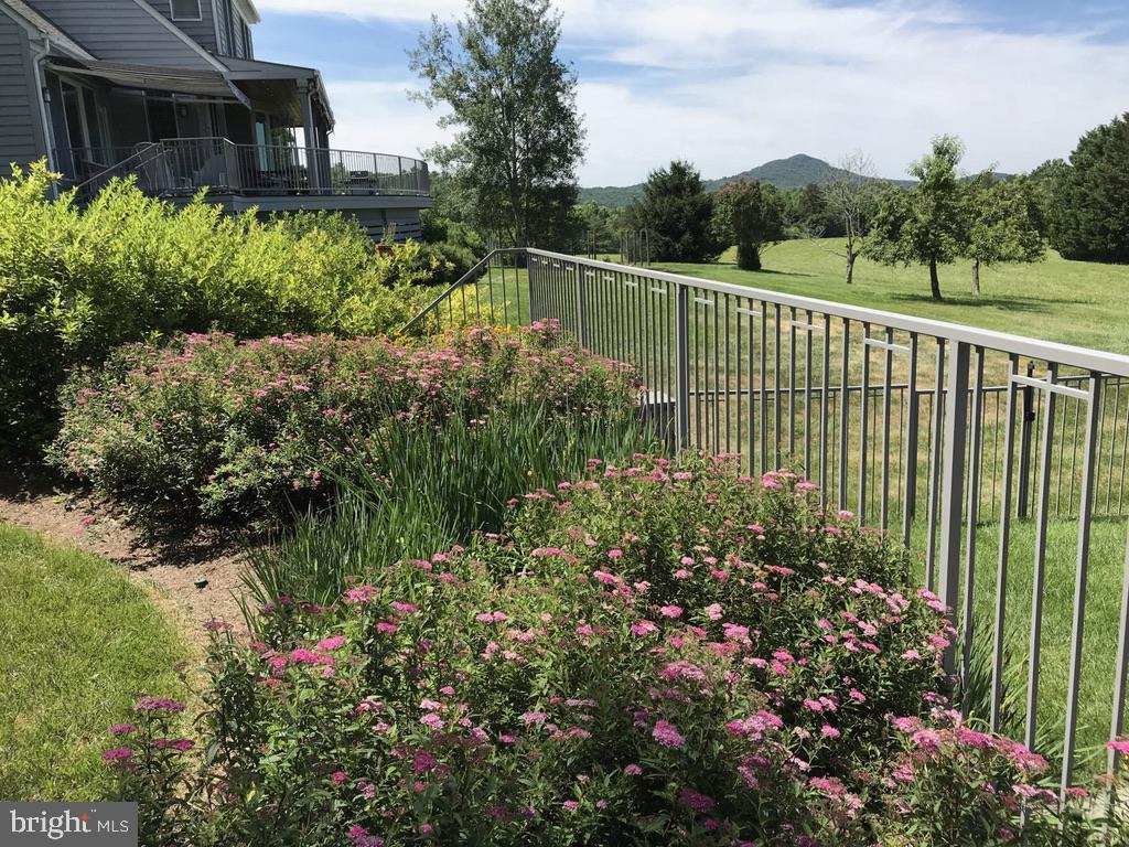 643 RICHMOND RD, AMISSVILLE, Virginia 20106, 3 Bedrooms Bedrooms, ,2 BathroomsBathrooms,Residential,14,643 RICHMOND RD,VARP2002496 MLS # VARP2002496 643 RICHMOND RD, AMISSVILLE, Virginia 20106, 3 Bedrooms Bedrooms, ,2 BathroomsBathrooms,Residential,14,643 RICHMOND RD,VARP2002496 MLS # VARP2002496