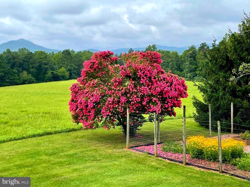 643 RICHMOND RD, AMISSVILLE, Virginia 20106, 3 Bedrooms Bedrooms, ,2 BathroomsBathrooms,Residential,14,643 RICHMOND RD,VARP2002496 MLS # VARP2002496 643 RICHMOND RD, AMISSVILLE, Virginia 20106, 3 Bedrooms Bedrooms, ,2 BathroomsBathrooms,Residential,14,643 RICHMOND RD,VARP2002496 MLS # VARP2002496