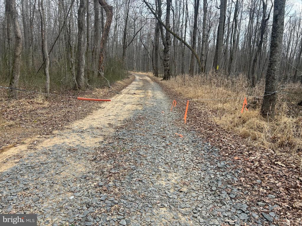 0 UNKNOWN, AMISSVILLE, Virginia 20106, ,Farm,14,0 UNKNOWN,VARP2002546 MLS # VARP2002546