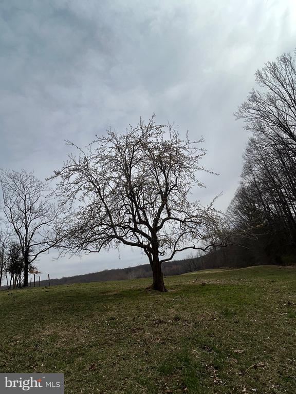 0 UNKNOWN, AMISSVILLE, Virginia 20106, ,Farm,14,0 UNKNOWN,VARP2002546 MLS # VARP2002546