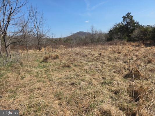 11419 TWIN MOUNTAINS RD, RAPIDAN, Virginia 22733, 4 Bedrooms Bedrooms, ,1 BathroomBathrooms,Residential,14,11419 TWIN MOUNTAINS RD,VACU2013130 MLS # VACU2013130