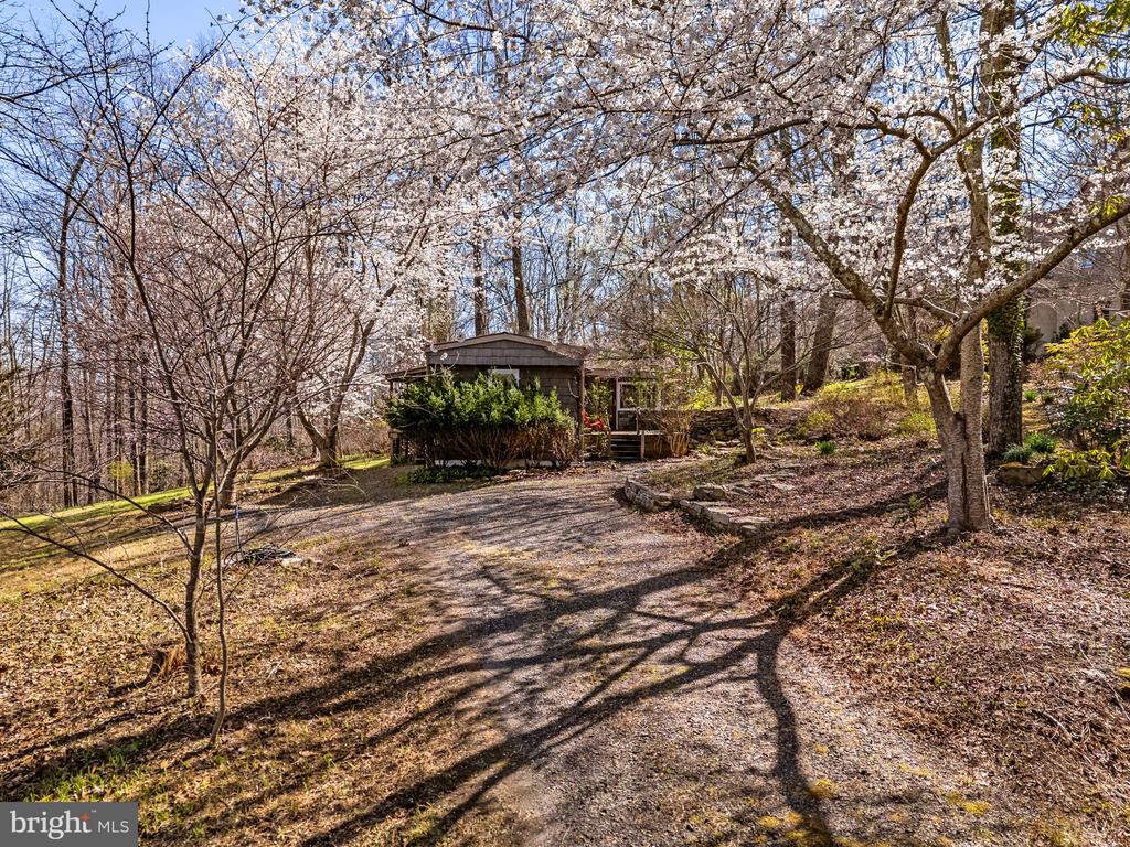 40 ANGEL KISS LN, CASTLETON, Virginia 22716, 2 Bedrooms Bedrooms, ,2 BathroomsBathrooms,Residential,14,40 ANGEL KISS LN,VARP2002550 MLS # VARP2002550