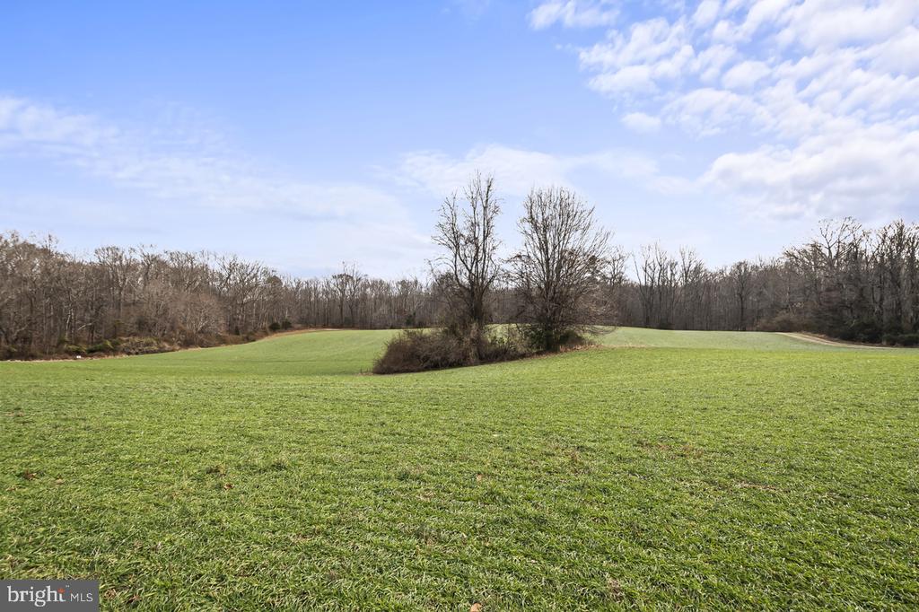 7389 LEEDS MANOR RD, MARSHALL, Virginia, ,Farm,14,7389 LEEDS MANOR RD,VAFQ2021218 MLS # VAFQ2021218