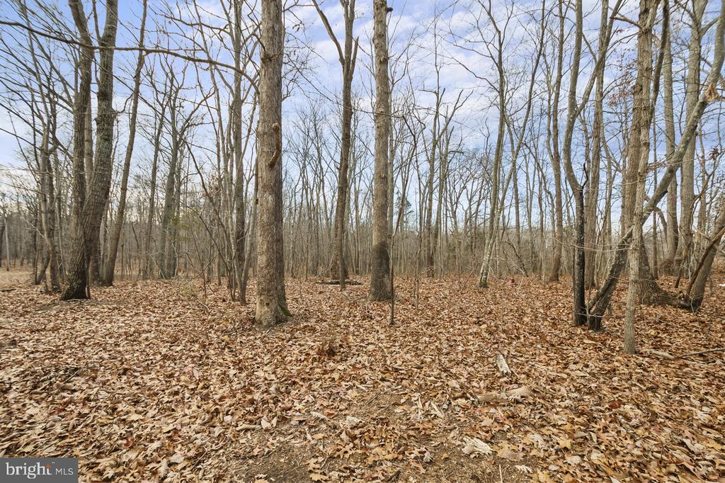 7389 LEEDS MANOR RD, MARSHALL, Virginia, ,Farm,14,7389 LEEDS MANOR RD,VAFQ2021218 MLS # VAFQ2021218