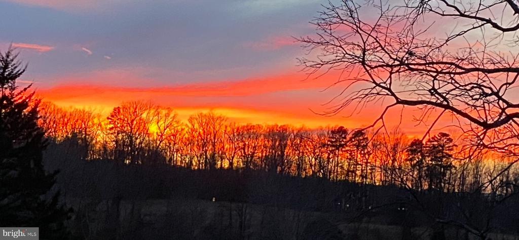 7389 LEEDS MANOR RD, MARSHALL, Virginia, ,Farm,14,7389 LEEDS MANOR RD,VAFQ2021218 MLS # VAFQ2021218