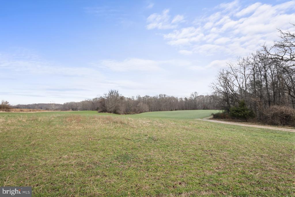 7389 LEEDS MANOR RD, MARSHALL, Virginia, ,Farm,14,7389 LEEDS MANOR RD,VAFQ2021218 MLS # VAFQ2021218