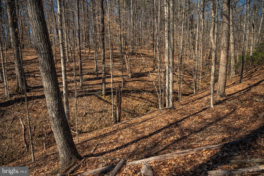 0 COX MILL RD, GORDONSVILLE, Virginia 22942, ,Farm,14,0 COX MILL RD,VAOR2013724 MLS # VAOR2013724