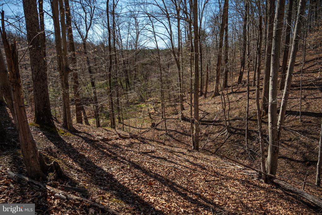 0 COX MILL RD, GORDONSVILLE, Virginia 22942, ,Farm,14,0 COX MILL RD,VAOR2013724 MLS # VAOR2013724