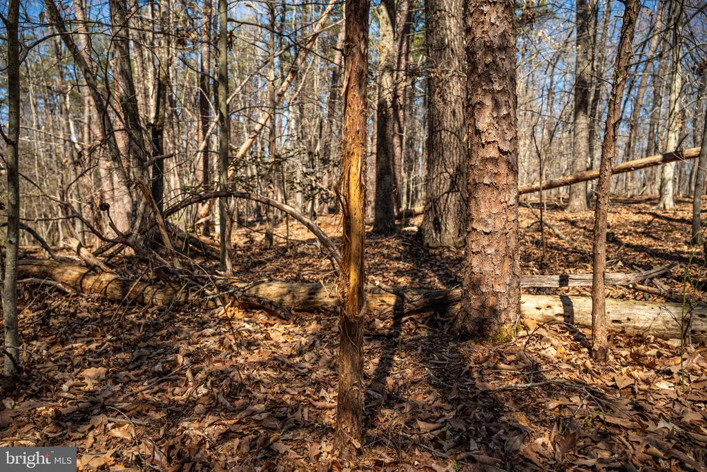 0 COX MILL RD, GORDONSVILLE, Virginia 22942, ,Farm,14,0 COX MILL RD,VAOR2013724 MLS # VAOR2013724