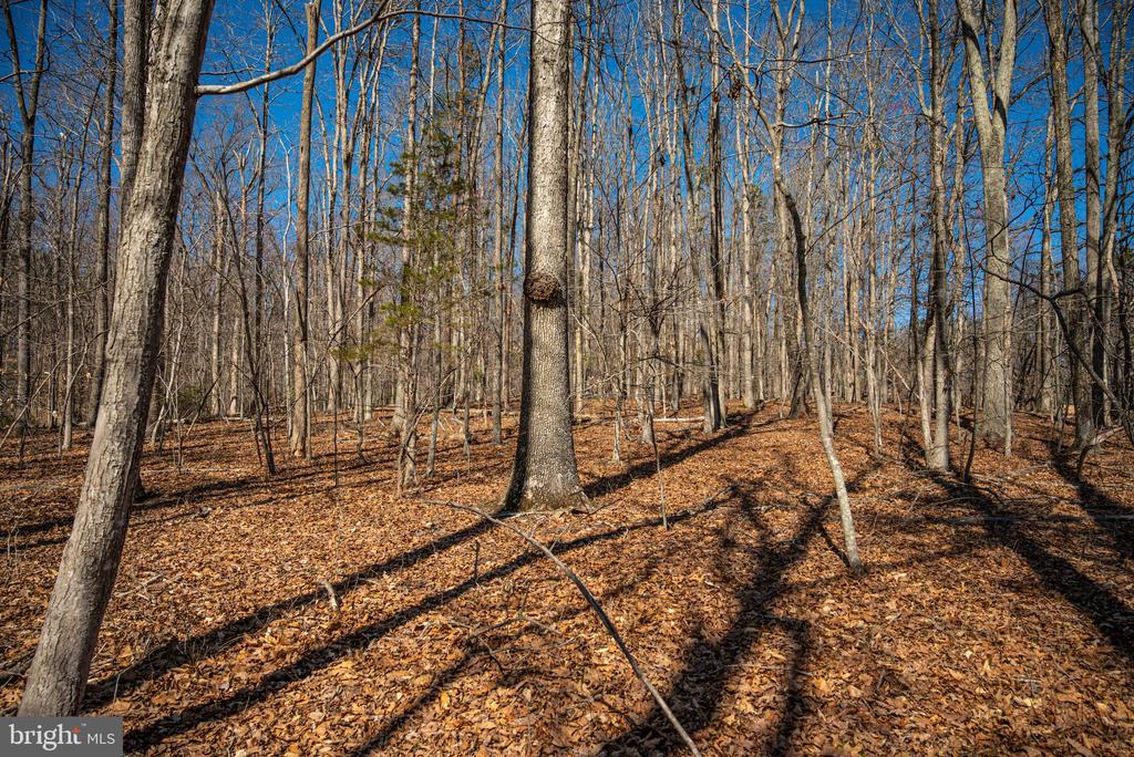 0 COX MILL RD, GORDONSVILLE, Virginia 22942, ,Farm,14,0 COX MILL RD,VAOR2013724 MLS # VAOR2013724