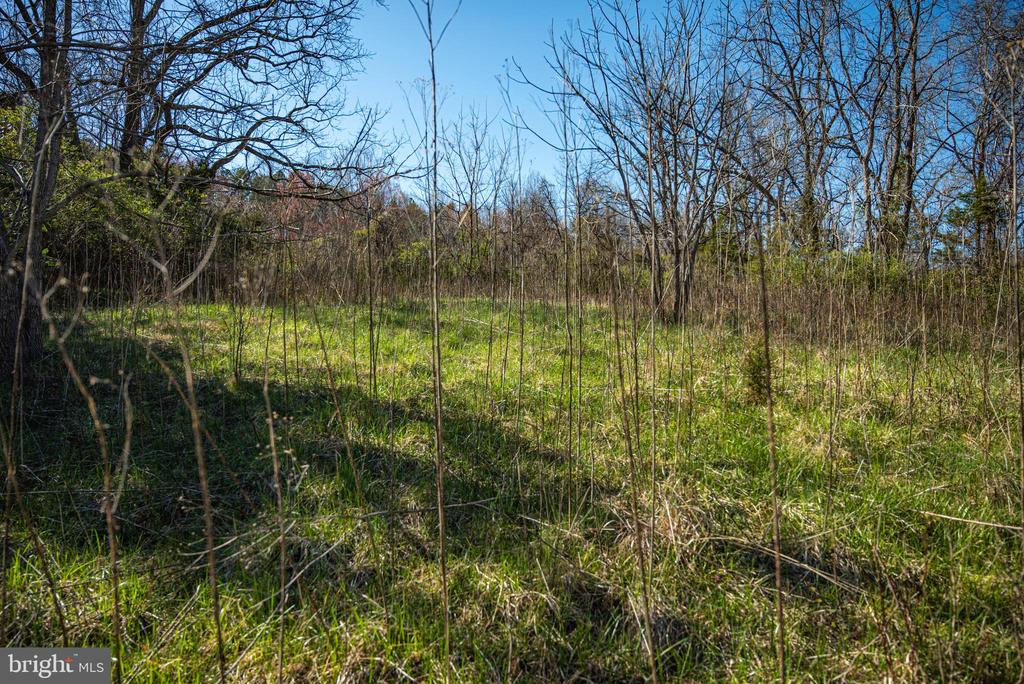 0 COX MILL RD, GORDONSVILLE, Virginia 22942, ,Farm,14,0 COX MILL RD,VAOR2013724 MLS # VAOR2013724