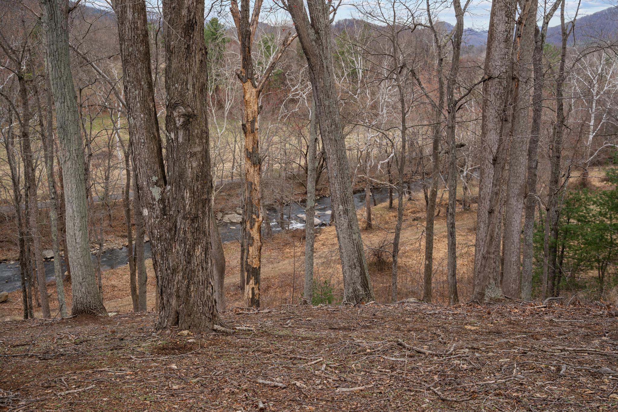 94 OLD HOLLOW RD, SPERRYVILLE, Virginia 22740, 4 Bedrooms Bedrooms, ,3 BathroomsBathrooms,Residential,14,94 OLD HOLLOW RD,VARP2002556 MLS # VARP2002556 94 OLD HOLLOW RD, SPERRYVILLE, Virginia 22740, 4 Bedrooms Bedrooms, ,3 BathroomsBathrooms,Residential,14,94 OLD HOLLOW RD,VARP2002556 MLS # VARP2002556