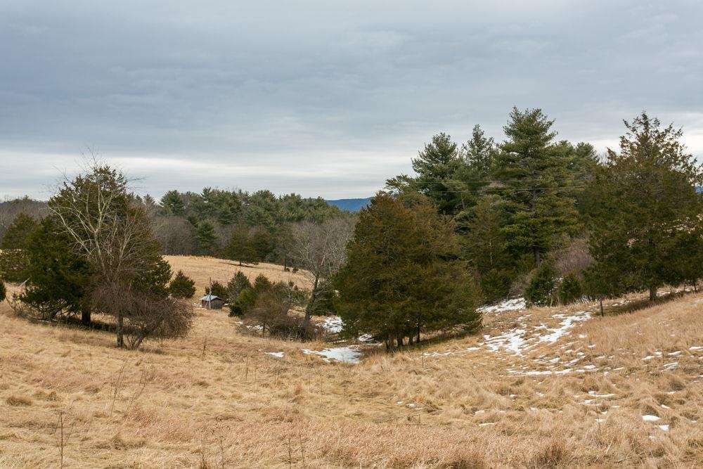 19962 RAINBOW RIDGE RD, BERGTON, Virginia 22811, 3 Bedrooms Bedrooms, ,1 BathroomBathrooms,Residential,14,19962 RAINBOW RIDGE RD,675176 MLS # 675176