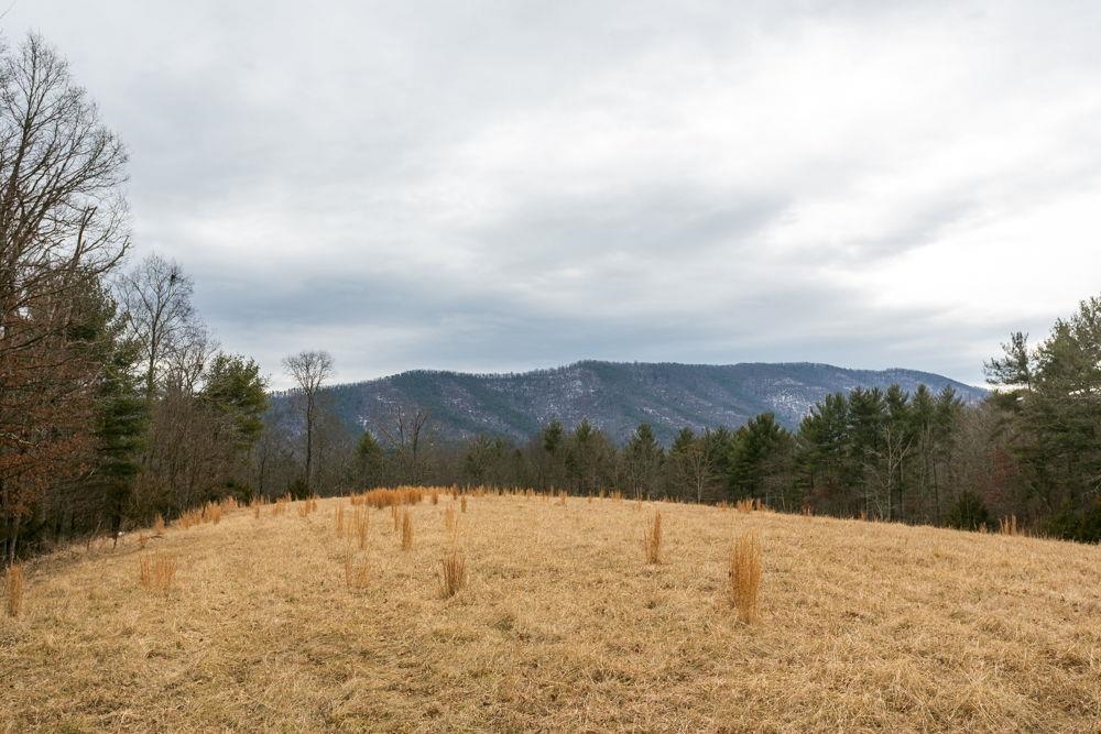 19962 RAINBOW RIDGE RD, BERGTON, Virginia 22811, 3 Bedrooms Bedrooms, ,1 BathroomBathrooms,Residential,14,19962 RAINBOW RIDGE RD,675176 MLS # 675176