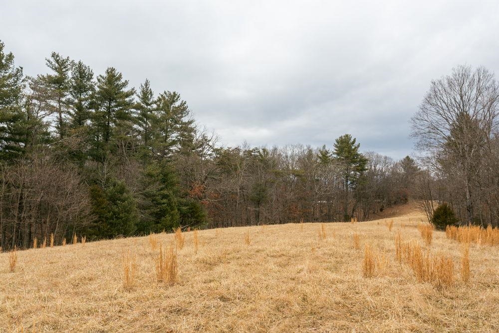 19962 RAINBOW RIDGE RD, BERGTON, Virginia 22811, 3 Bedrooms Bedrooms, ,1 BathroomBathrooms,Residential,14,19962 RAINBOW RIDGE RD,675176 MLS # 675176