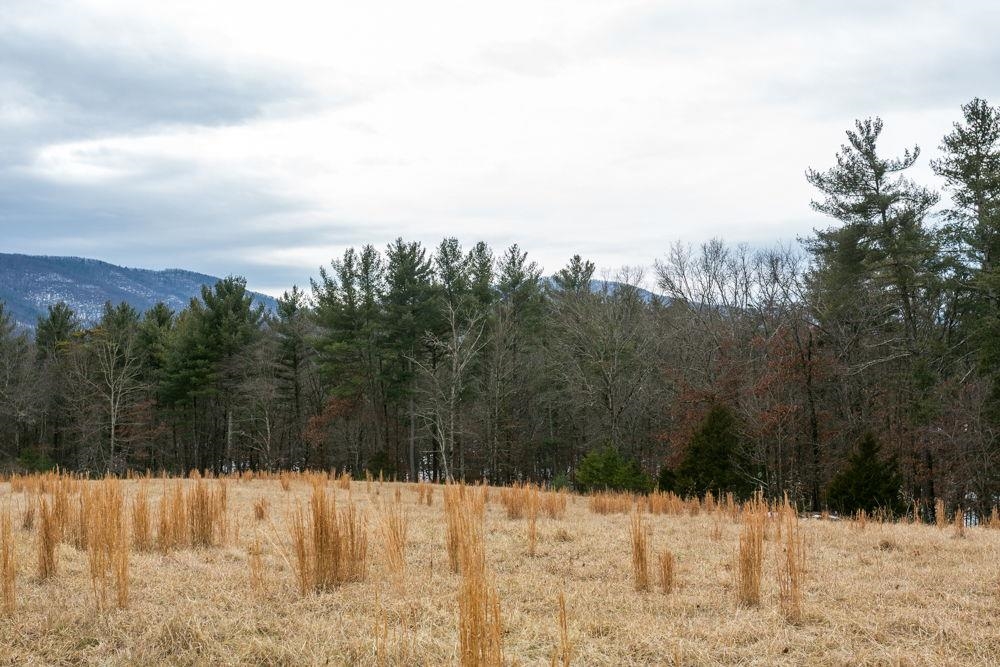 19962 RAINBOW RIDGE RD, BERGTON, Virginia 22811, 3 Bedrooms Bedrooms, ,1 BathroomBathrooms,Residential,14,19962 RAINBOW RIDGE RD,675176 MLS # 675176