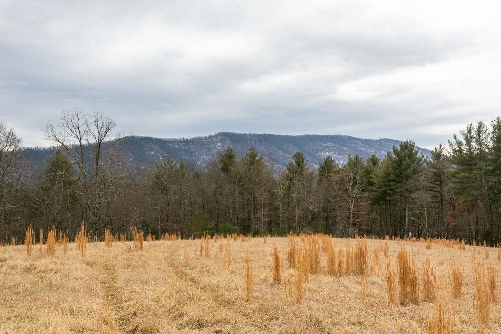 19962 RAINBOW RIDGE RD, BERGTON, Virginia 22811, 3 Bedrooms Bedrooms, ,1 BathroomBathrooms,Residential,14,19962 RAINBOW RIDGE RD,675176 MLS # 675176